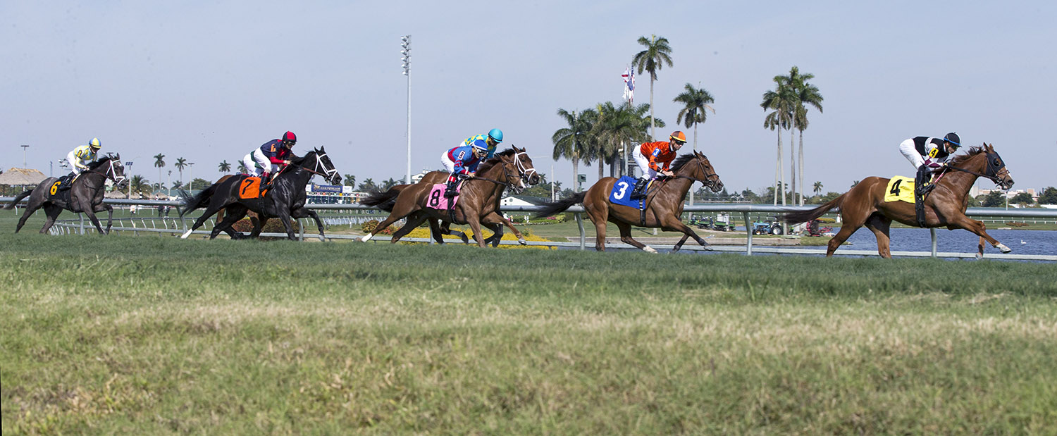 Gulfstream Park turf racing