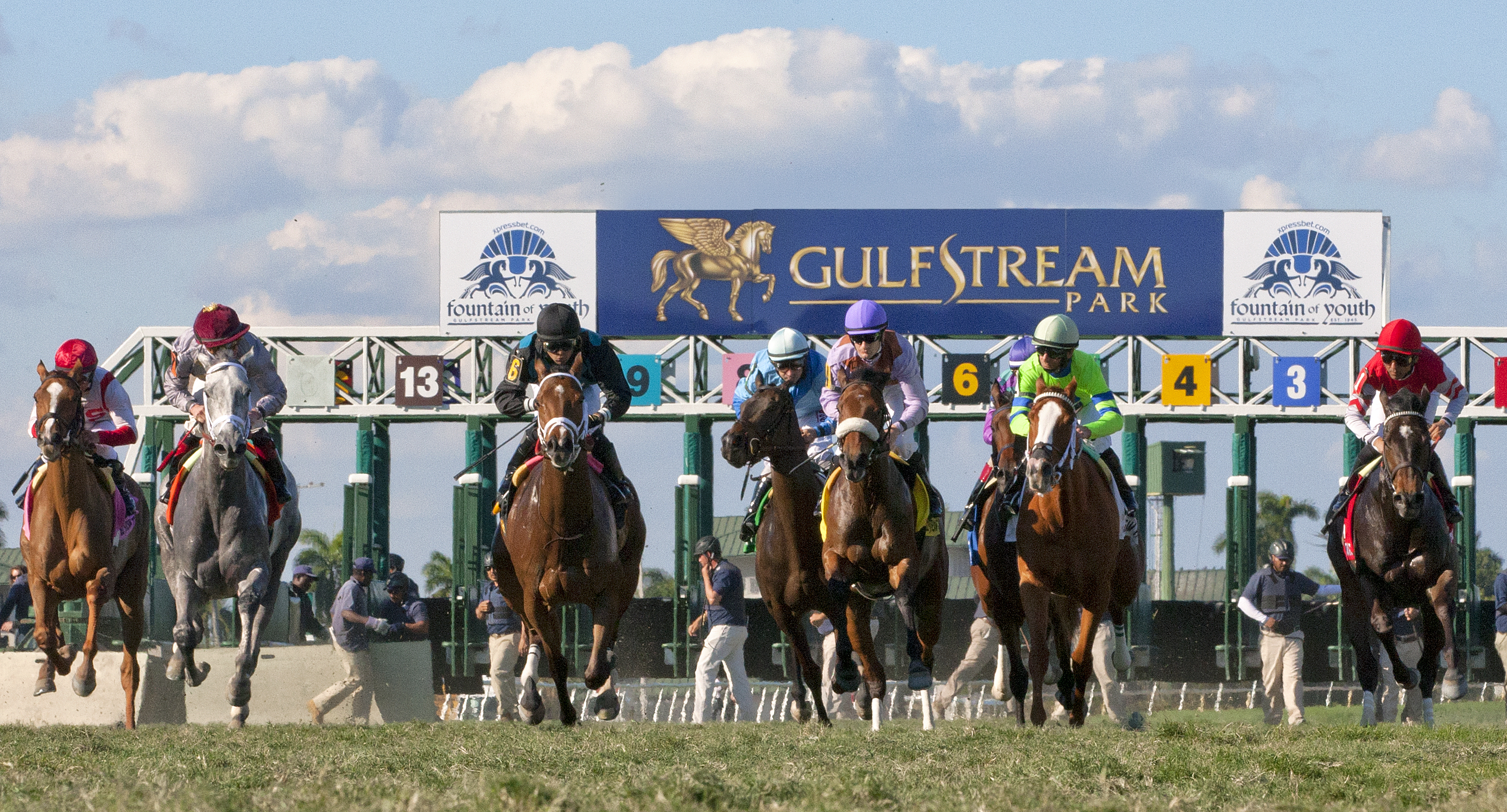 Gulfstream Park race start