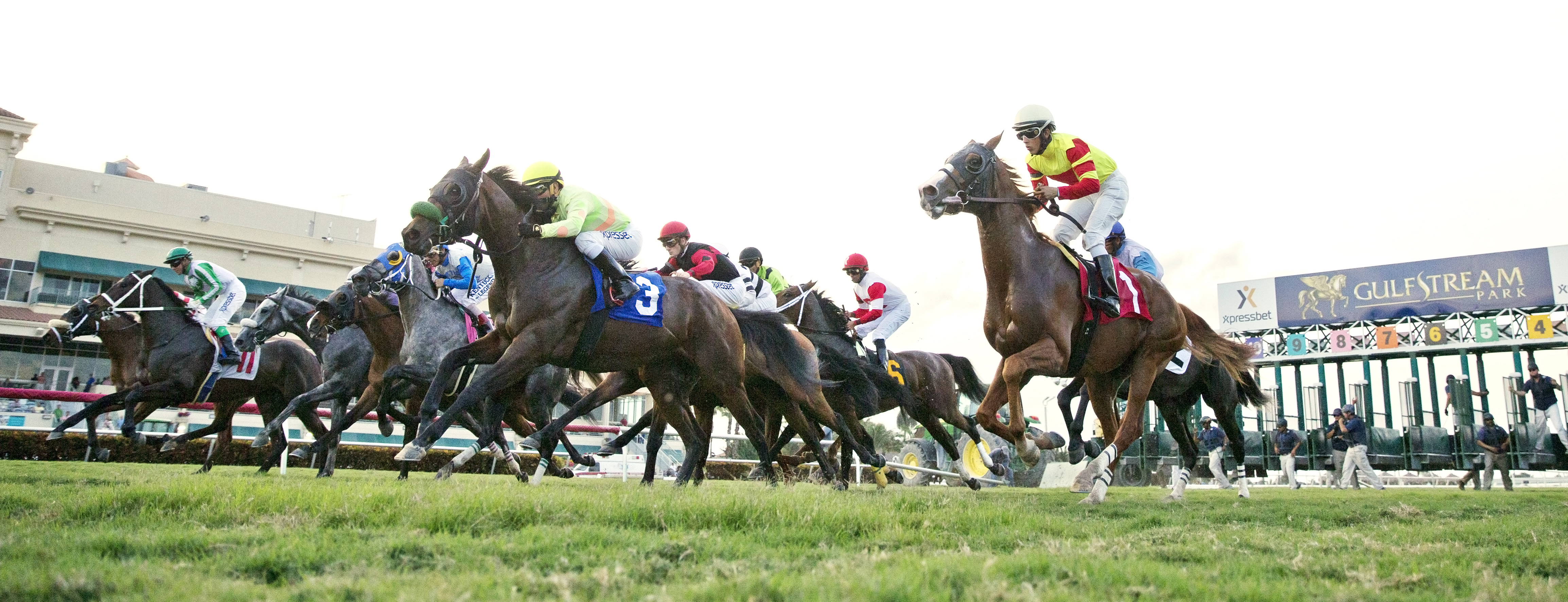 Gulfstream Park turf race