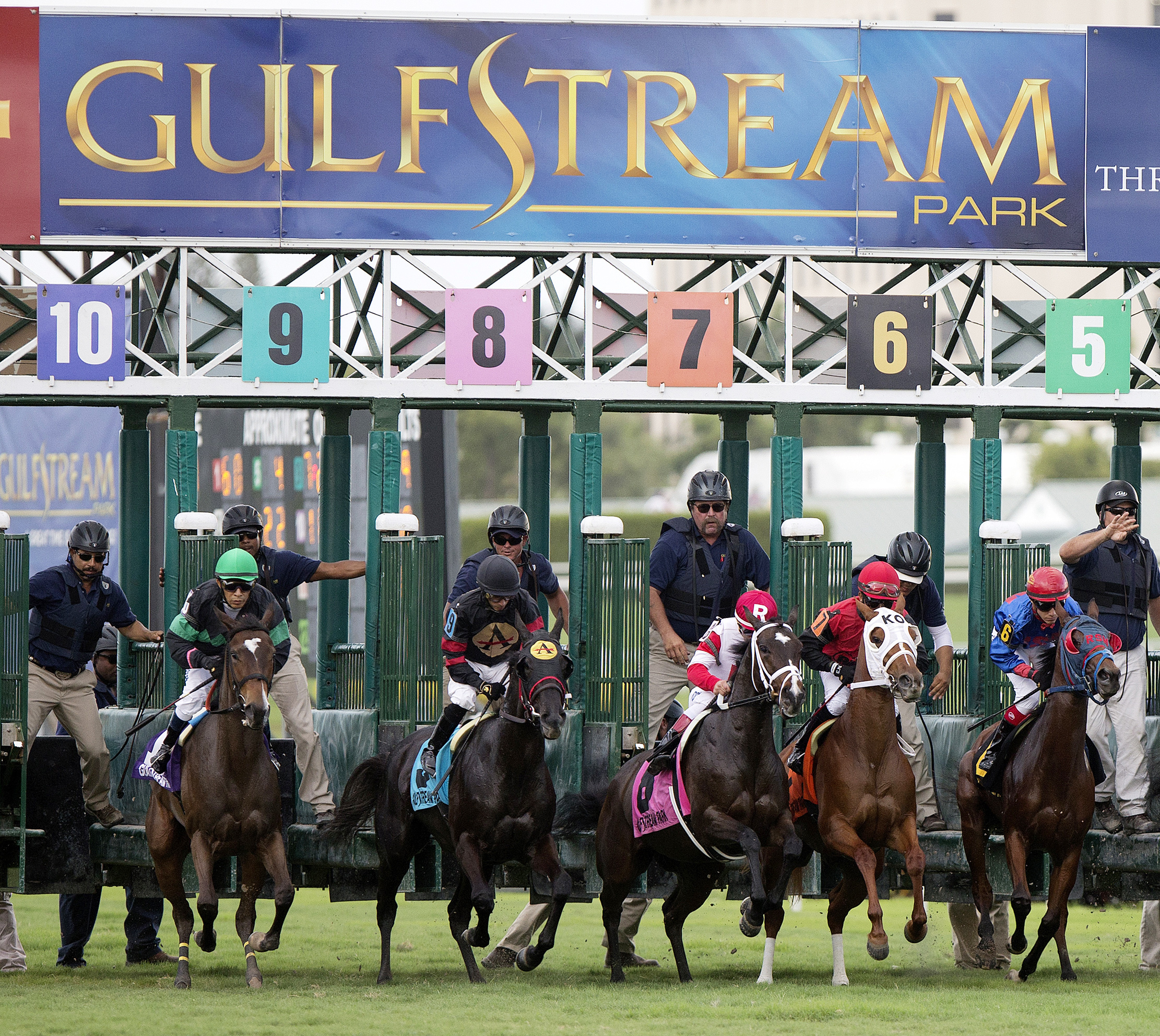 Gulfstream Park turf race start