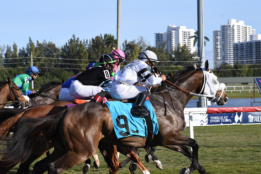 Gulfstream Park racing, January 2021
