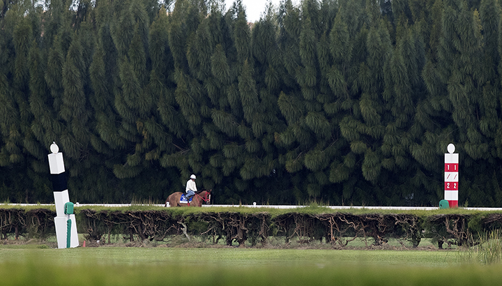 Gulfstream Park West