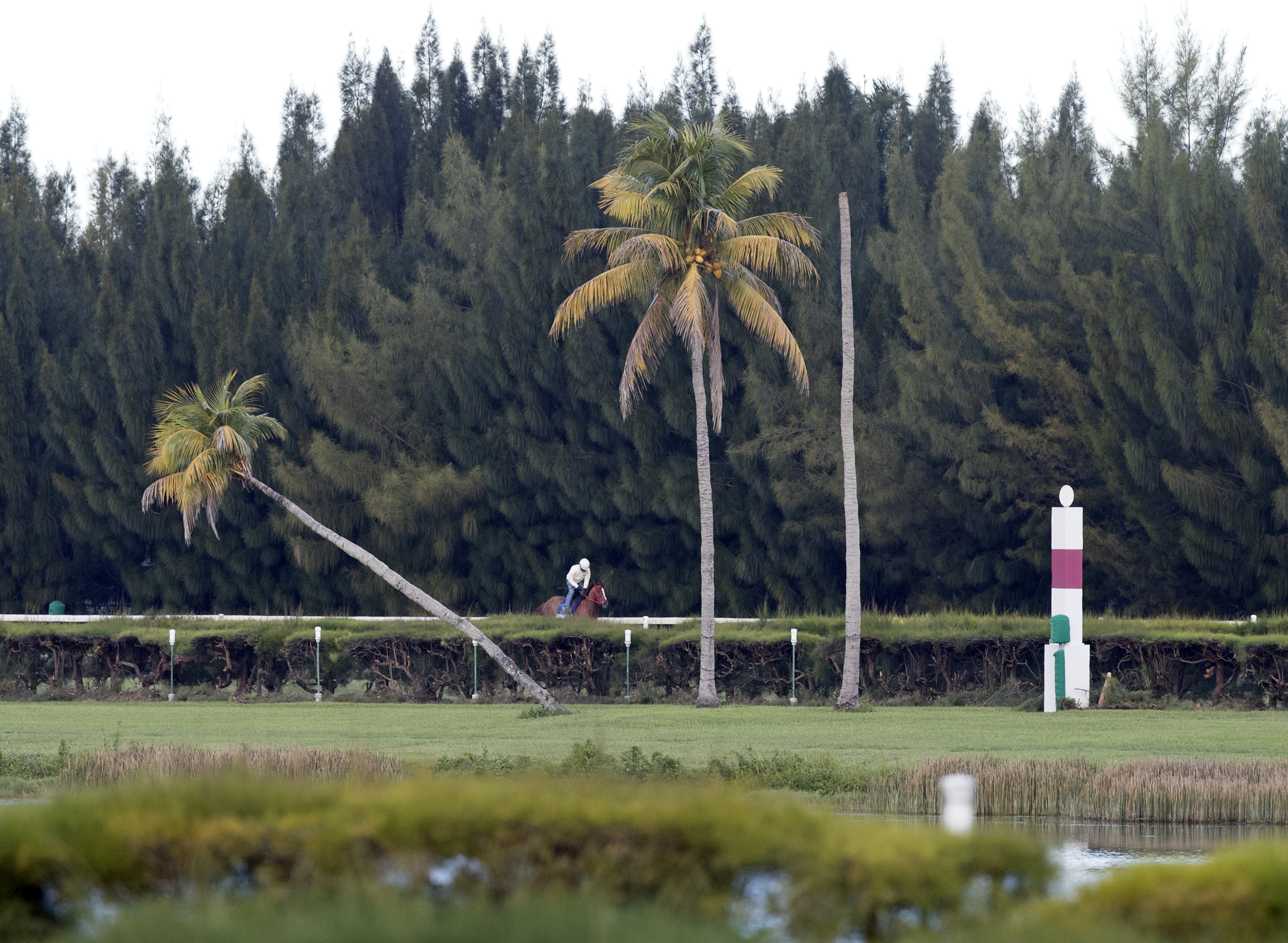 training at Gulfstream Park West