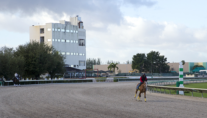 Gulfstream Park West in 2017