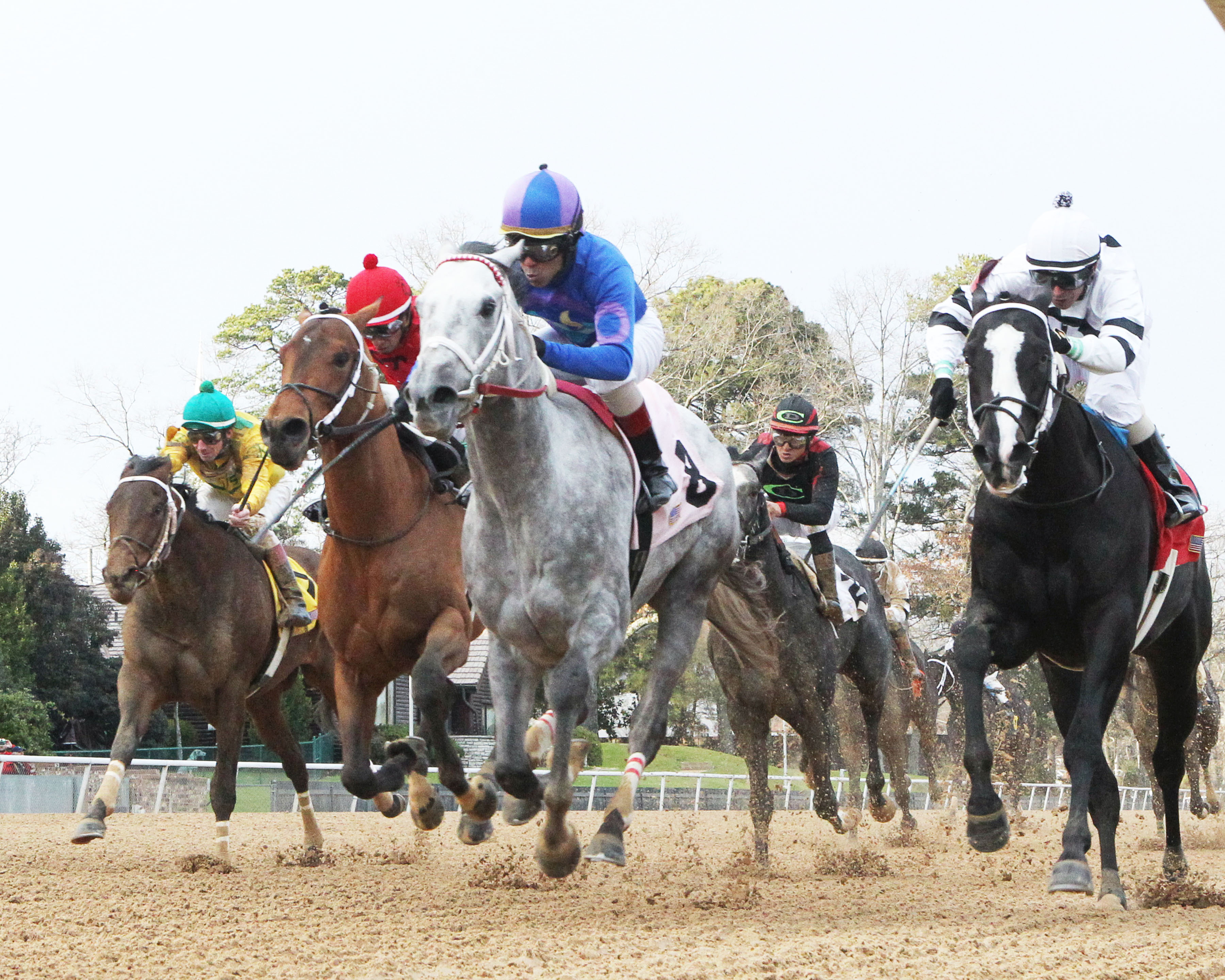 Gray Attempt (center) wins the 2019 Smarty Jones Stakes
