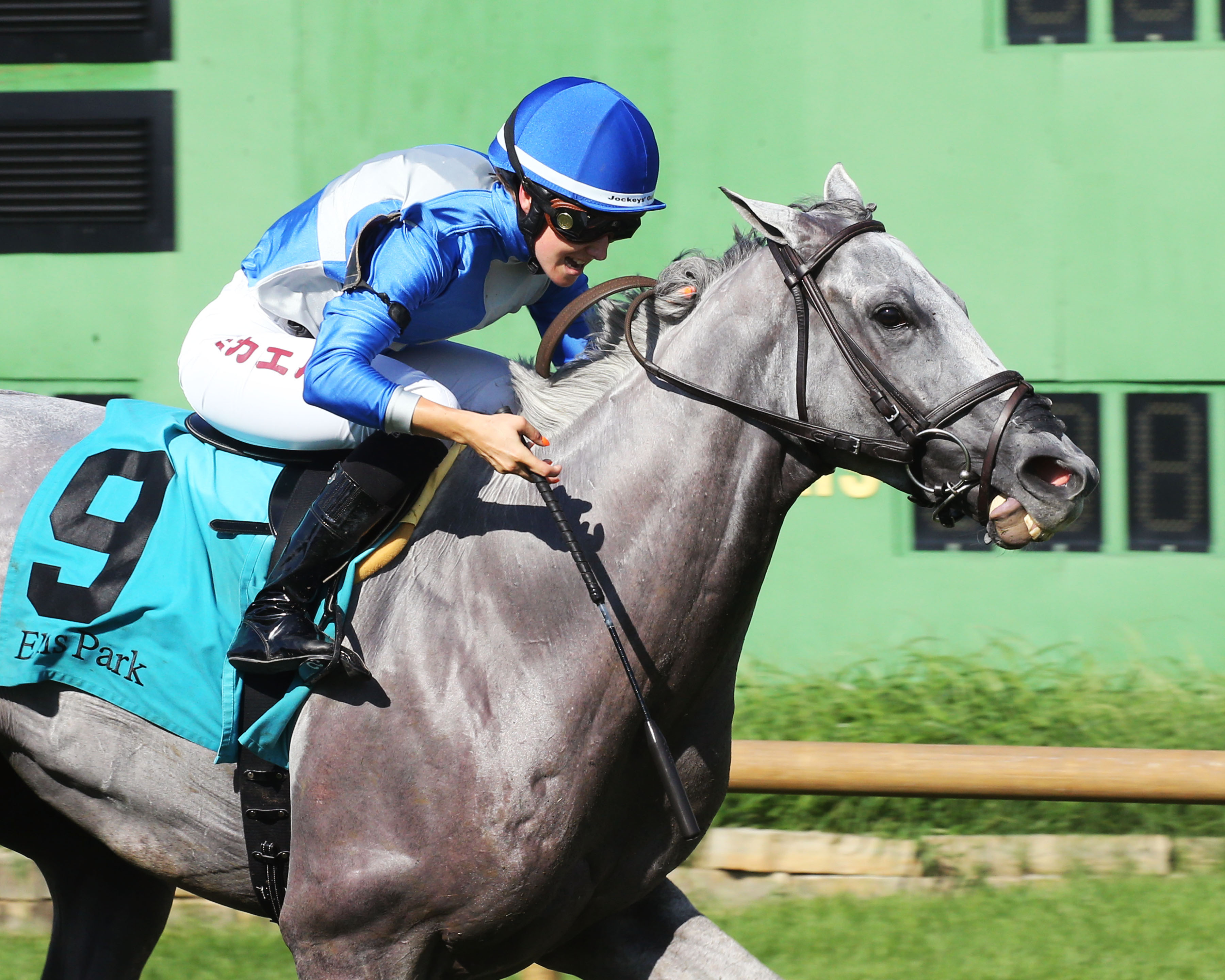Gray's Fable - Turf Mile S. 2022