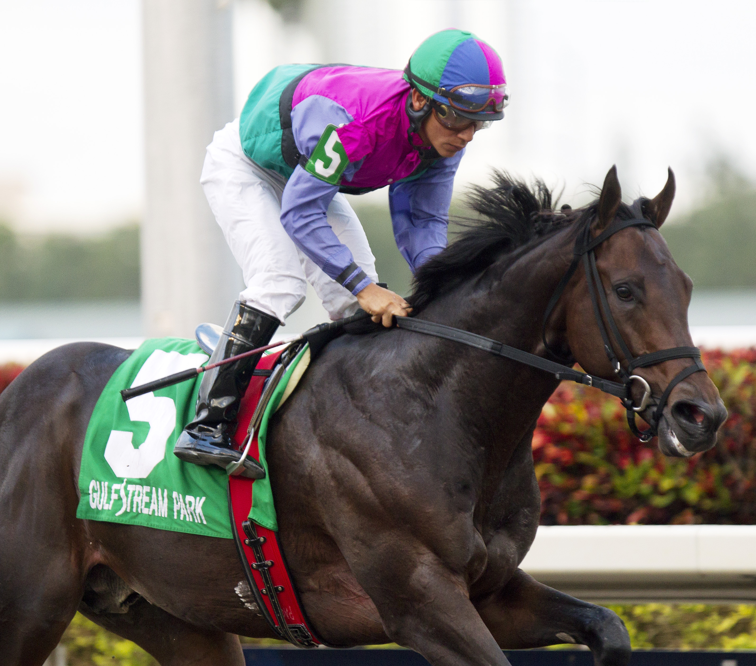 Itsmyluckyday/Gulfstream Park Derby