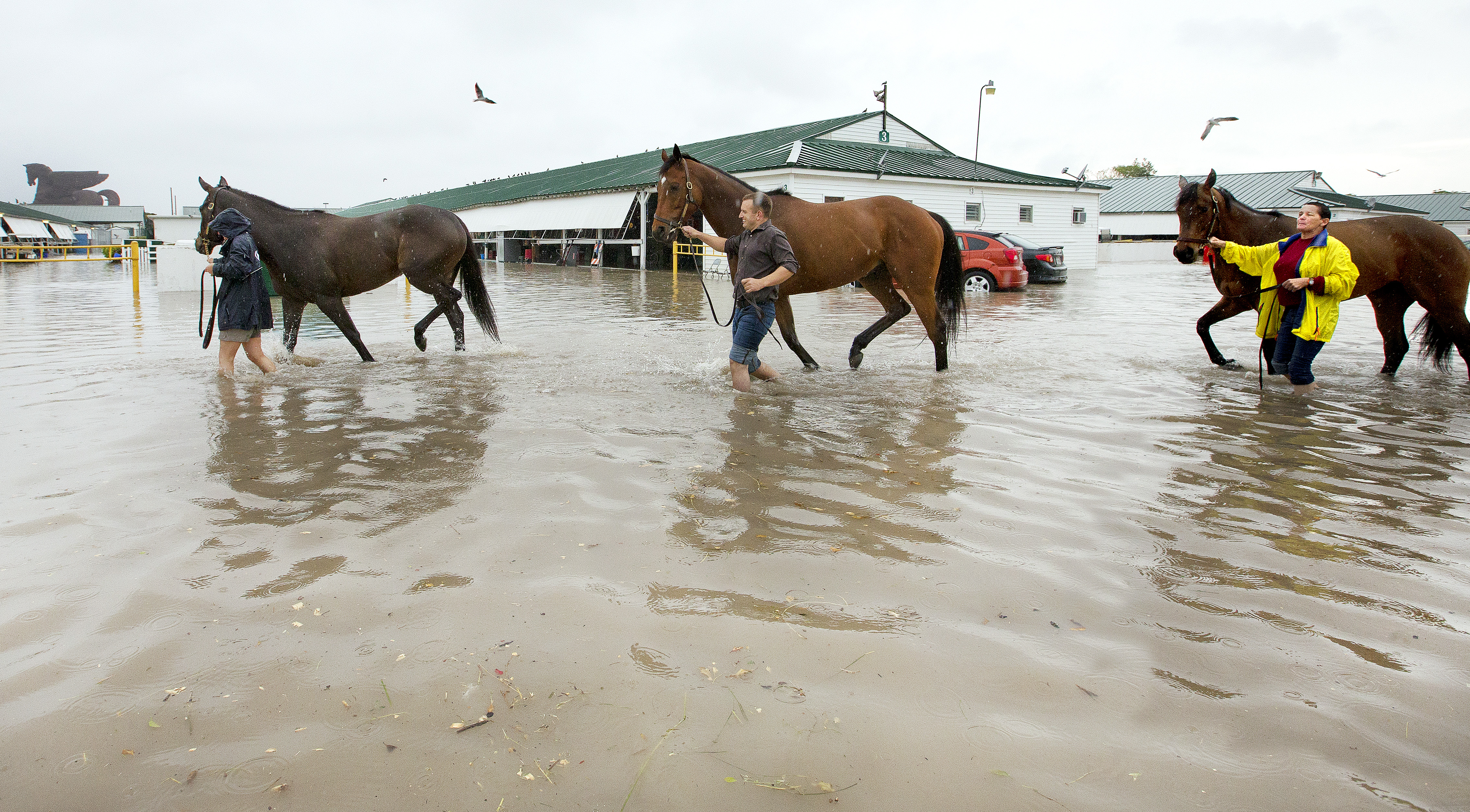 Gulfstream Park flooding Feb 28