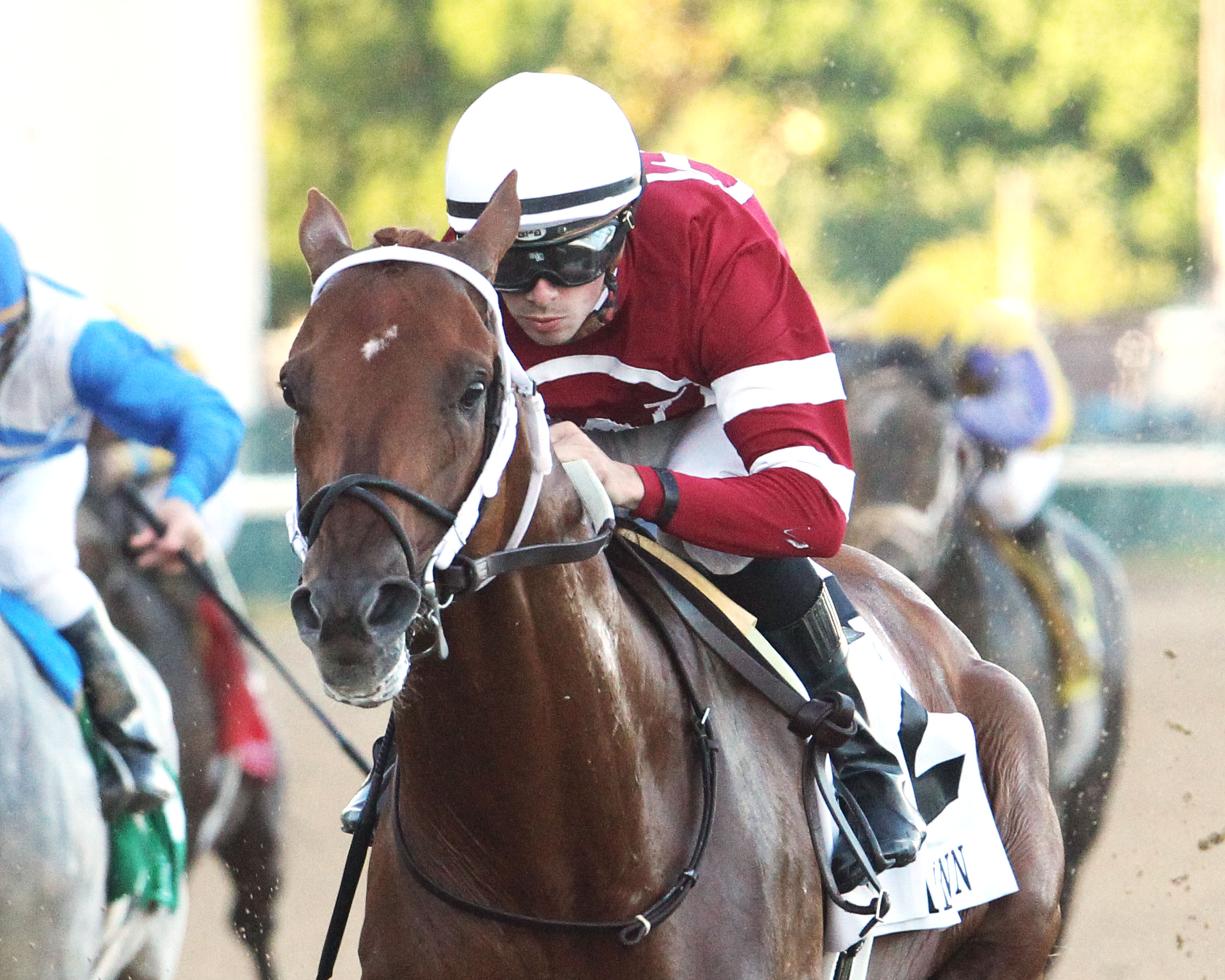 Gun Runner 6-18-2016