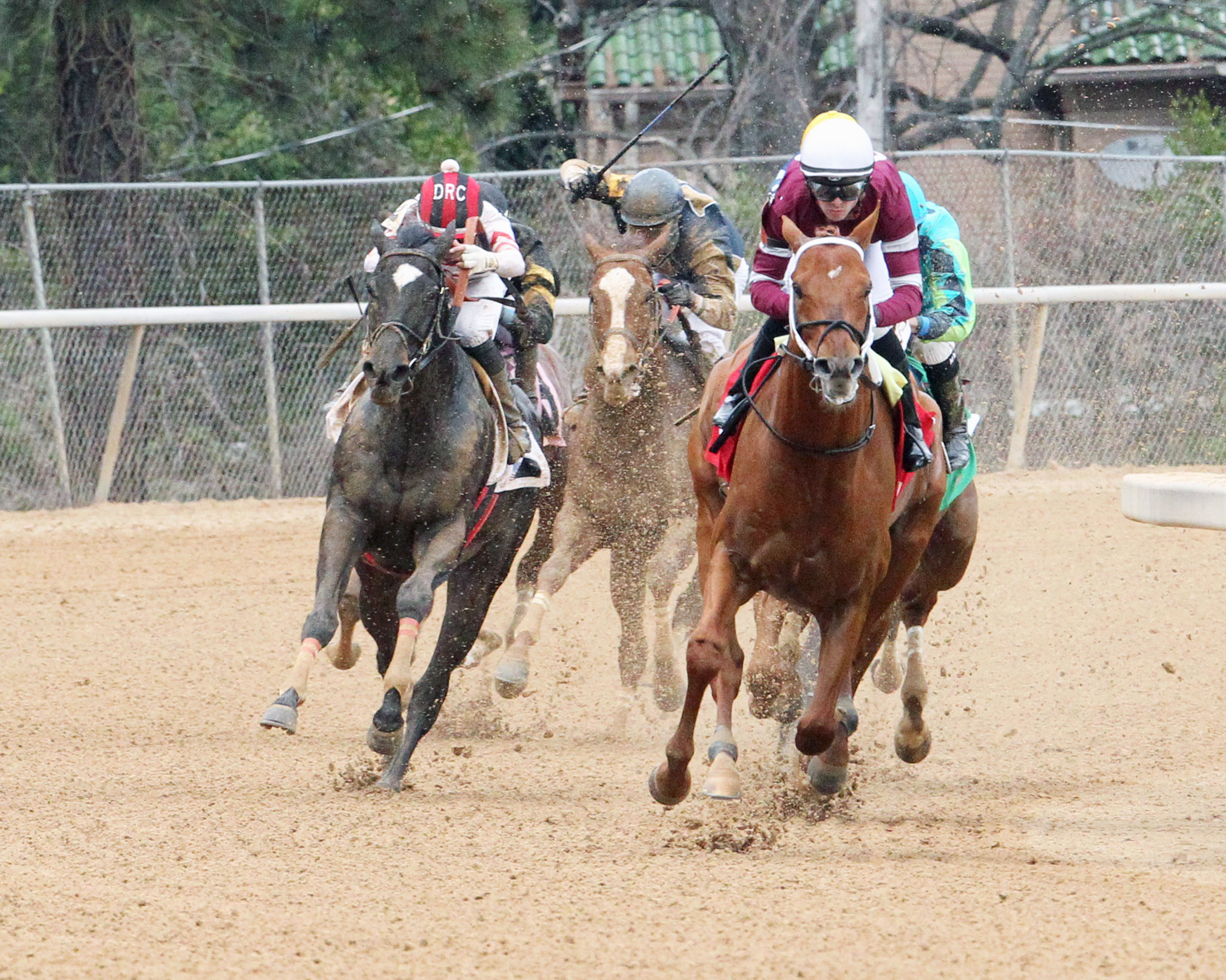 gun runner, razorback