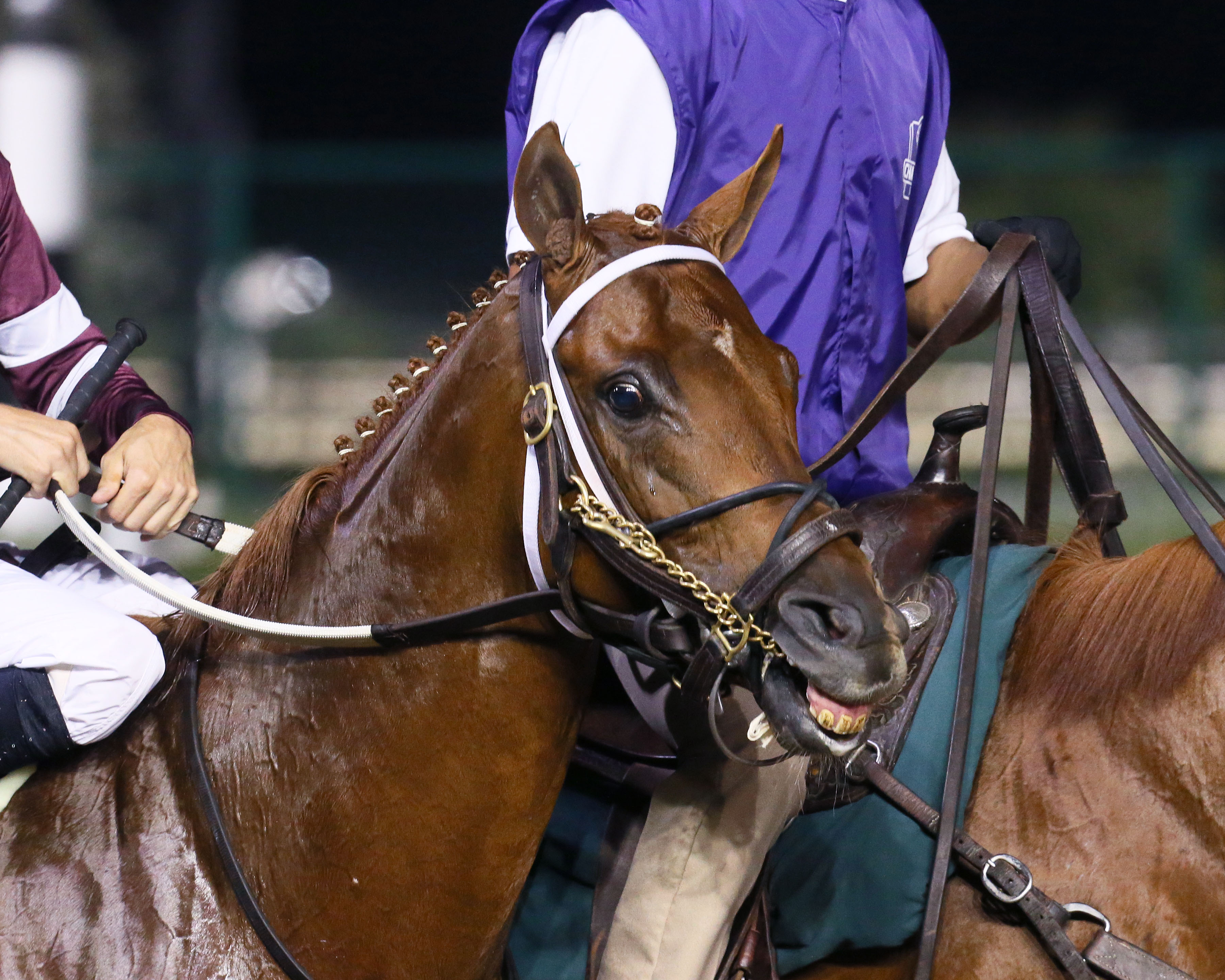 Gun Runner
