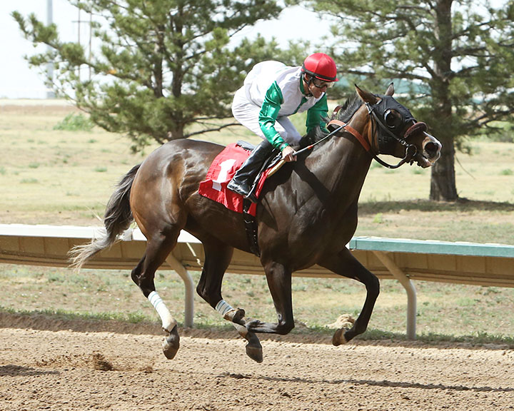 Galactic Princess wins the 2018 Spicy Stakes