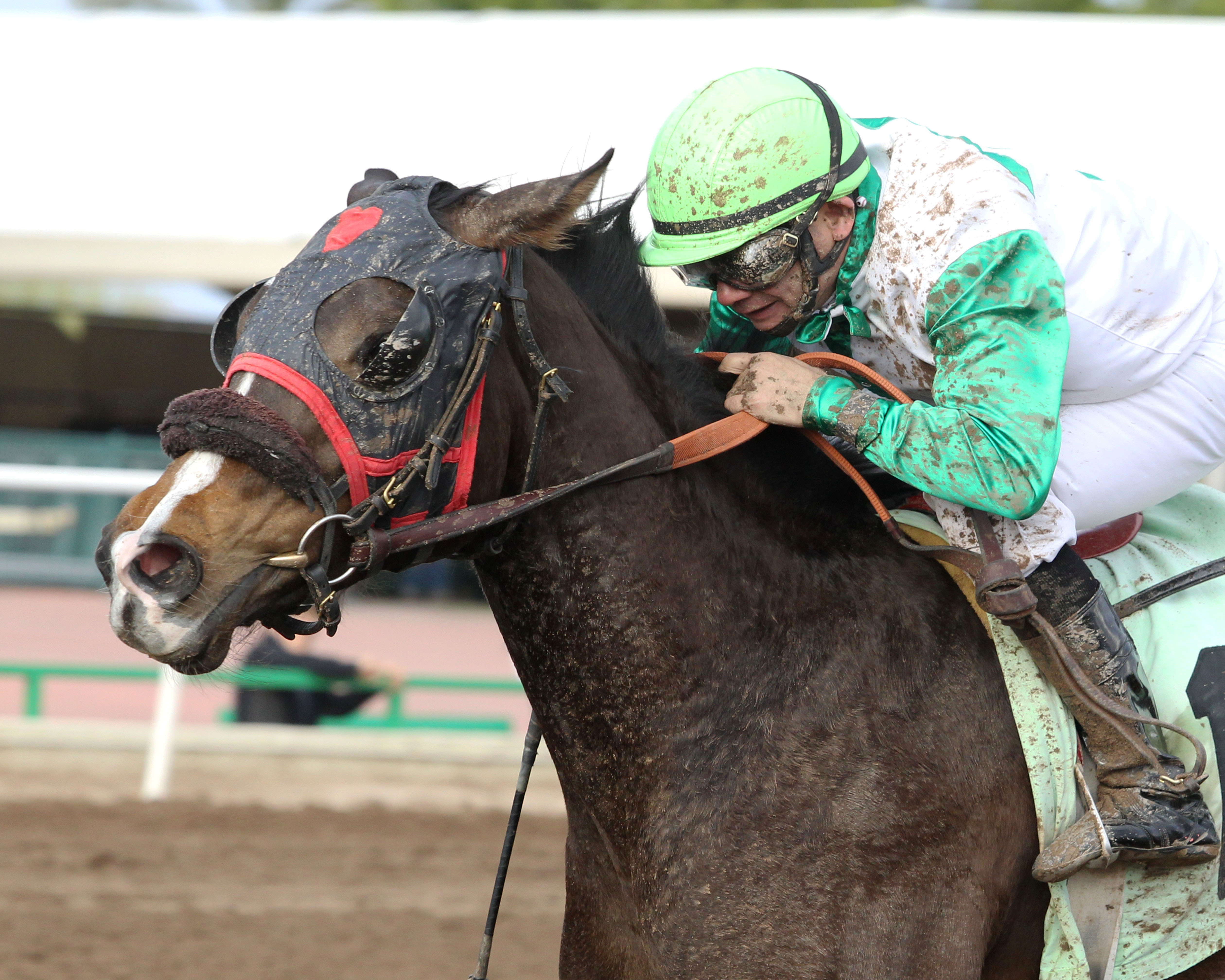 Galactic Princess wins the Arizona Juvenile Fillies Stakes