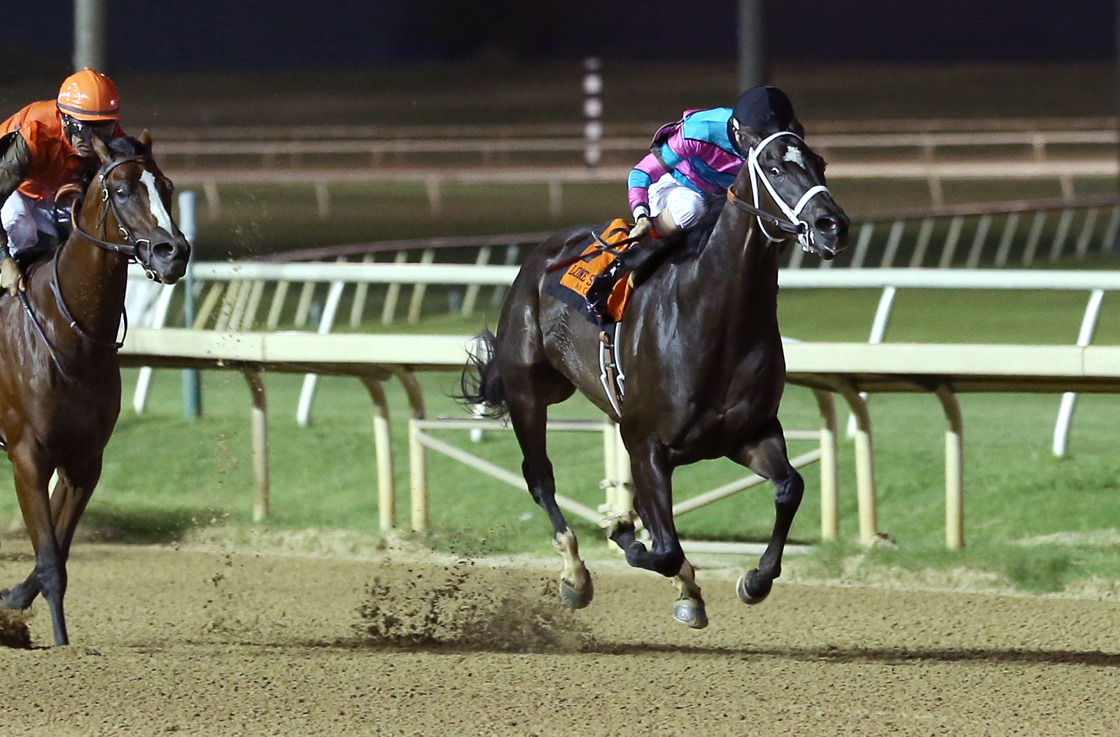 Galactica wins the 2017 Texas Thoroughbred Futurity