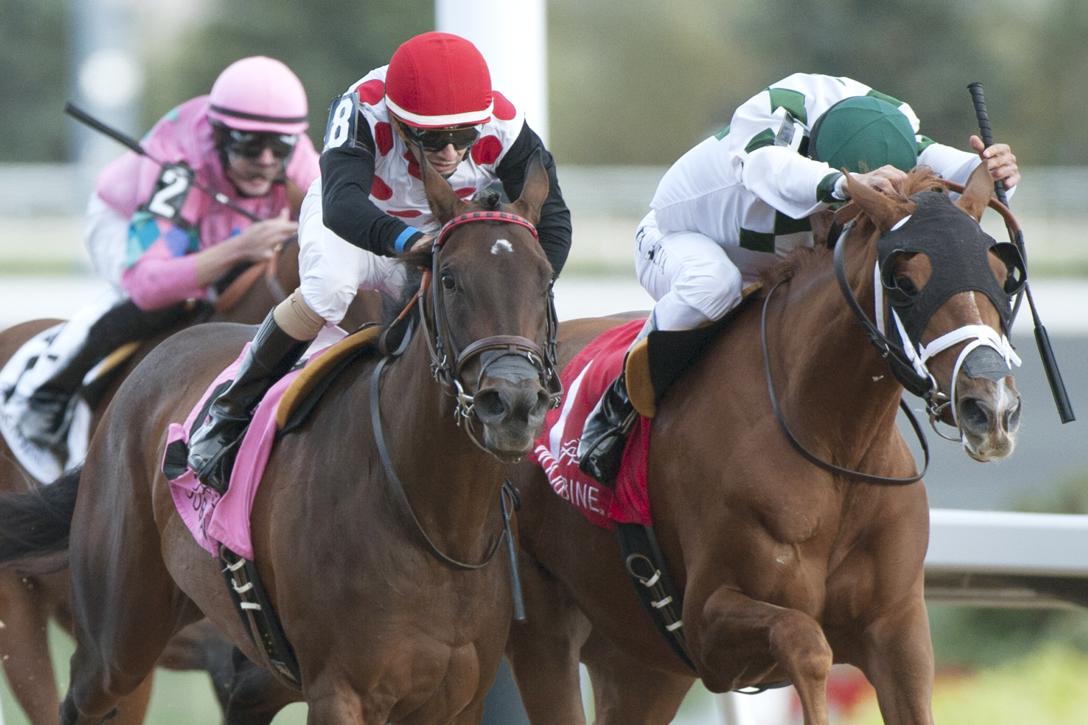 Gale Force wins the Mazarine