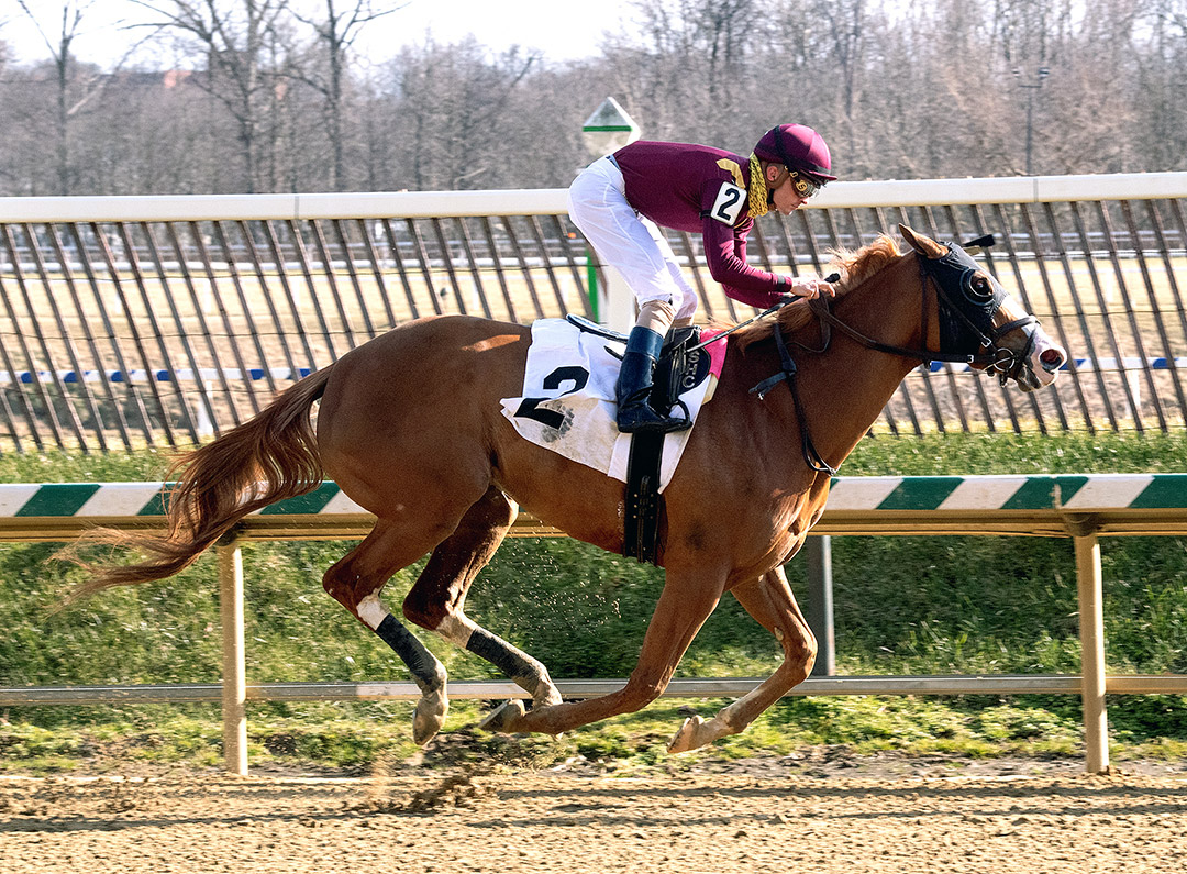 Gale wins the 2021 Geisha Stakes at Laurel Park