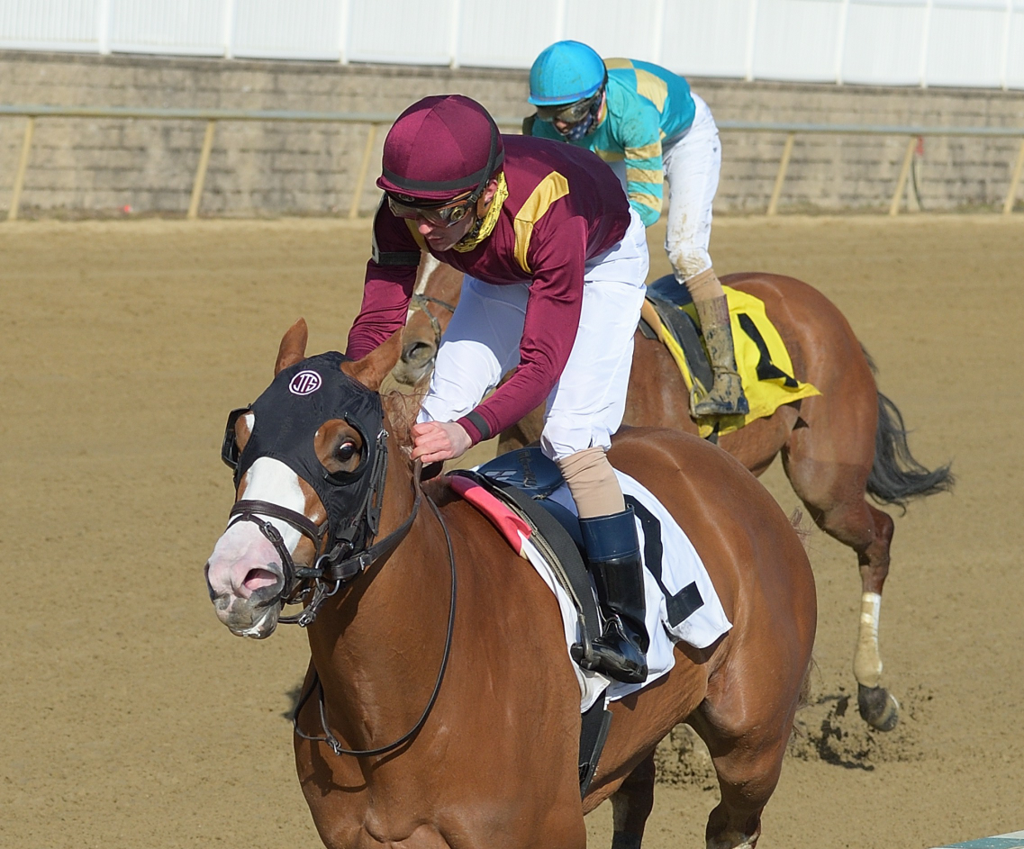 Gale, Geisha Stakes