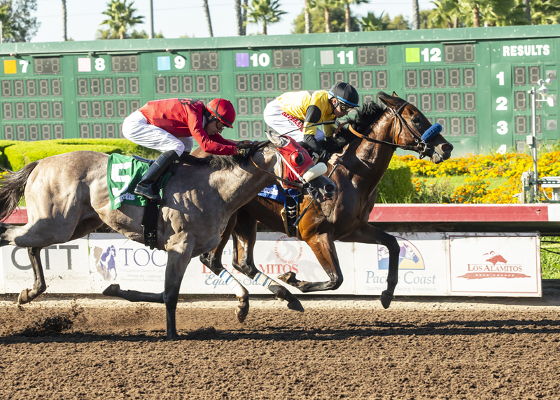 Galilean wins 2018 Barretts Juvenile