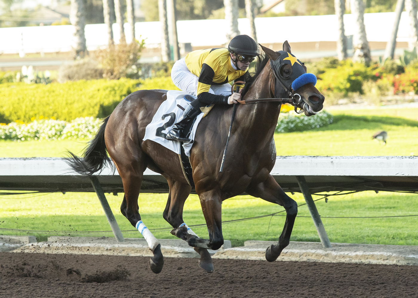 Galilean wins 2018 King Glorious