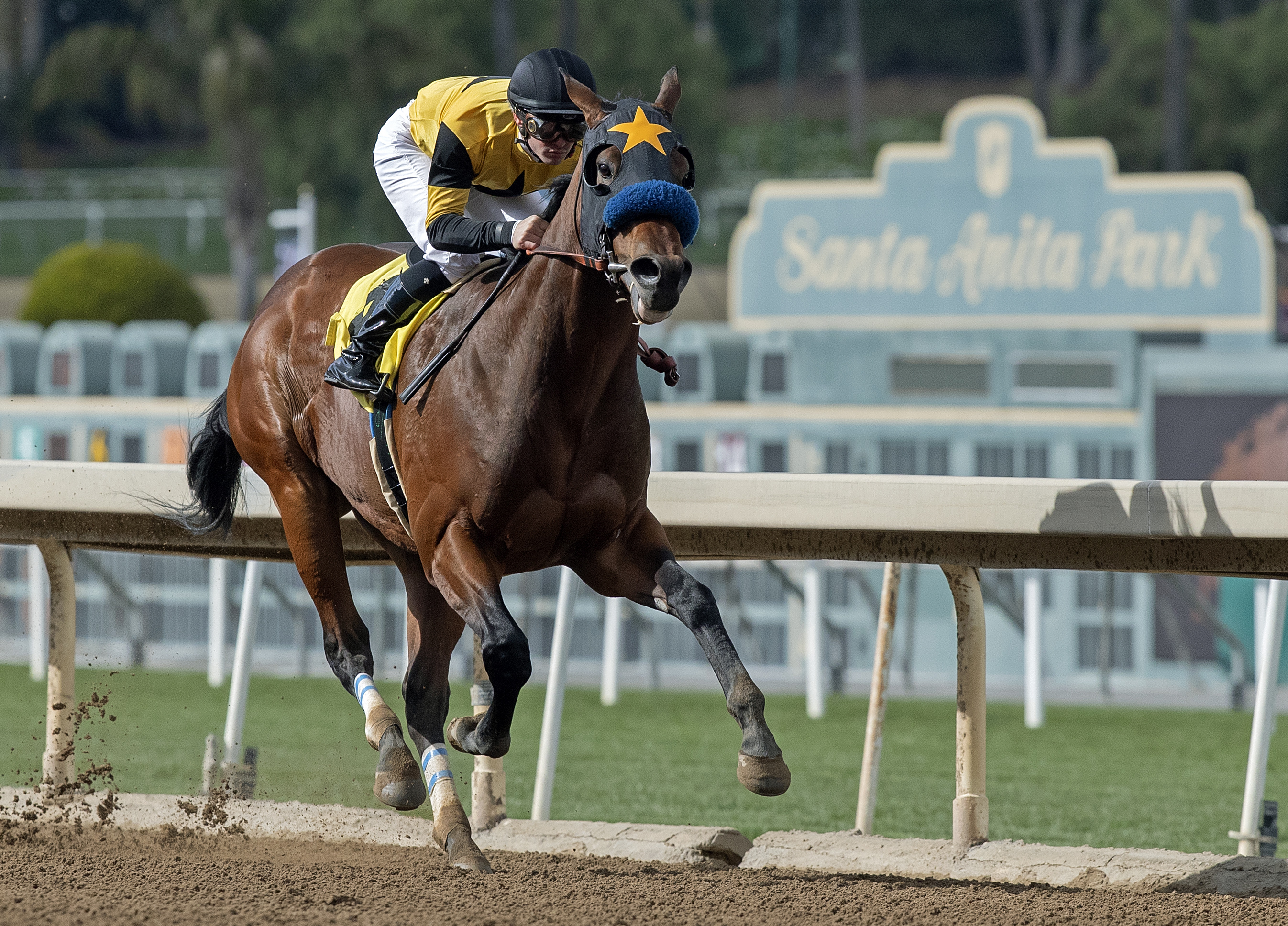 Galilean wins 2019 California Cup Derby (Barb)