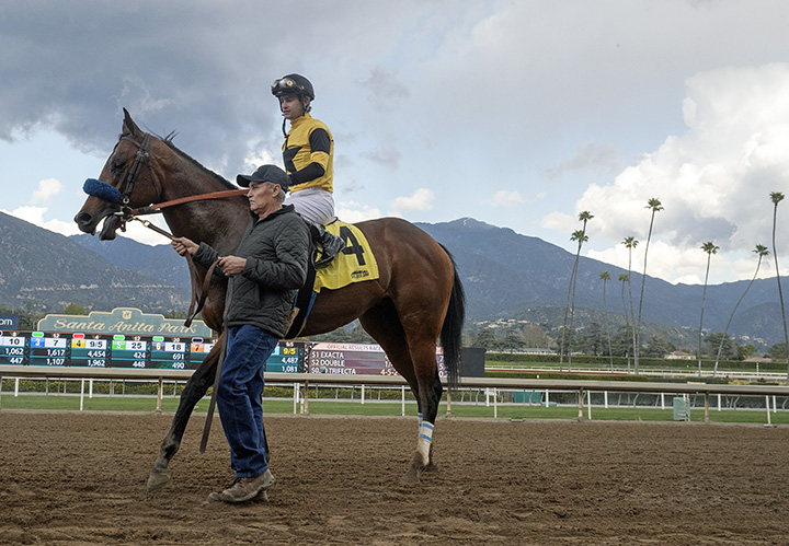 Galilean at the California Cup Derby