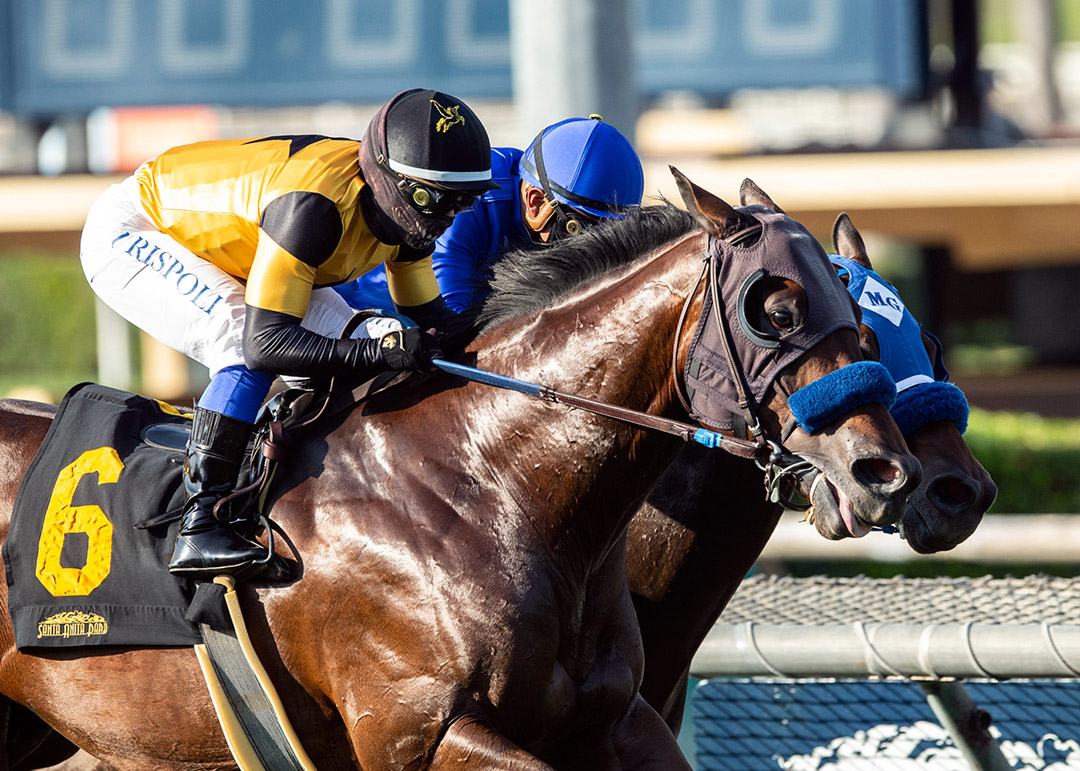Galilean (No. 6) wins the 2020 California Flag Handicap at Santa Anita