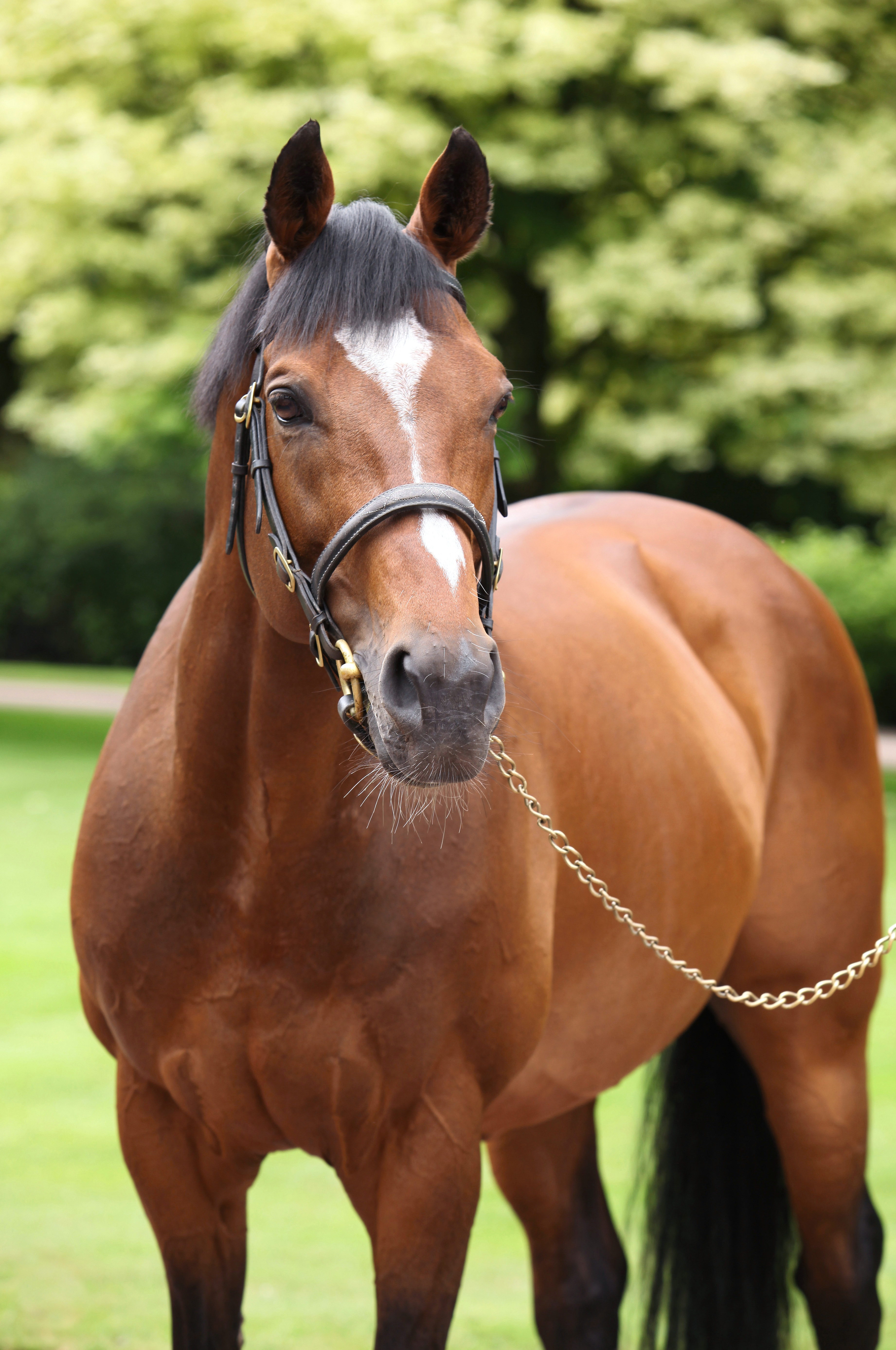 Galileo