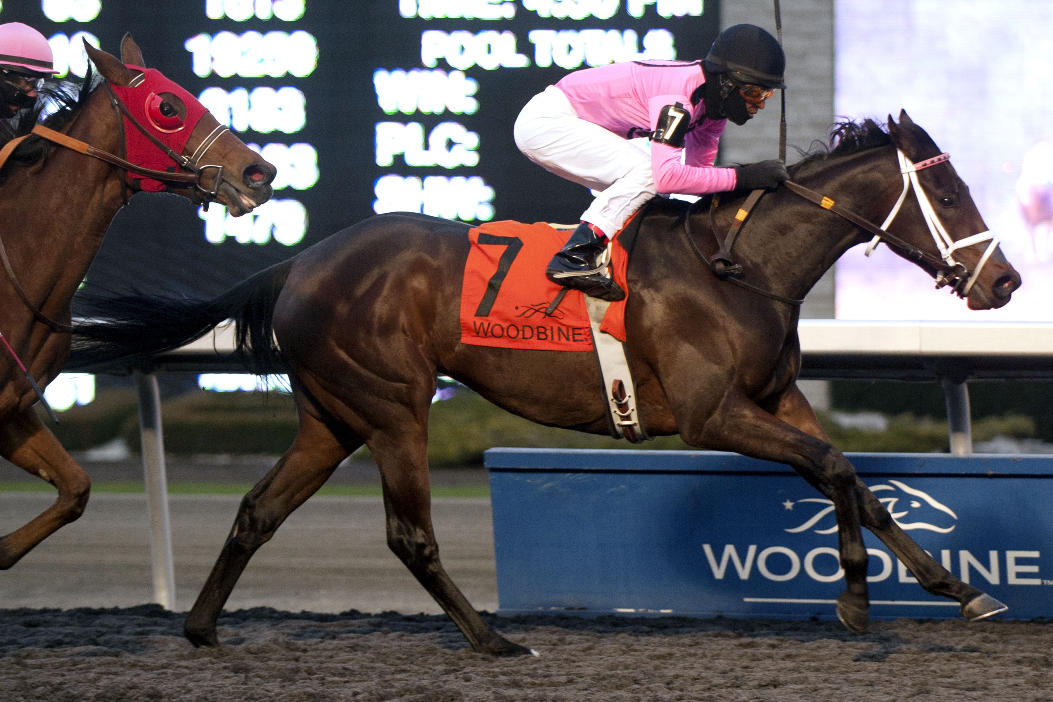 Galina Point wins the South Ocean Stakes