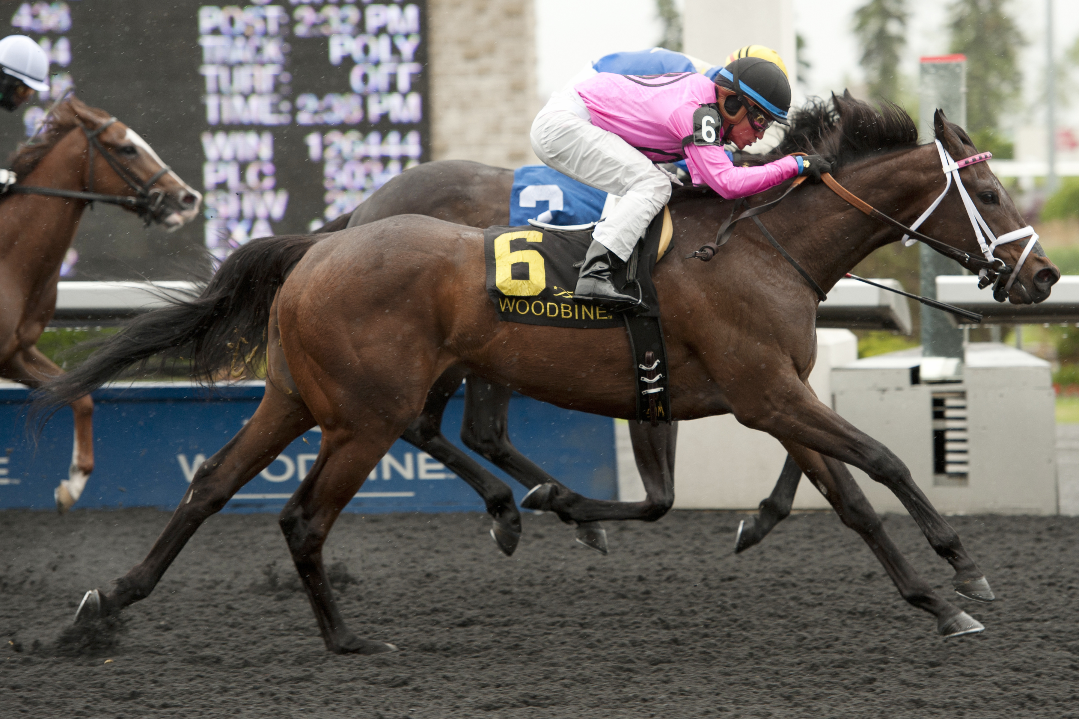 Galina Point wins the Lady Angela