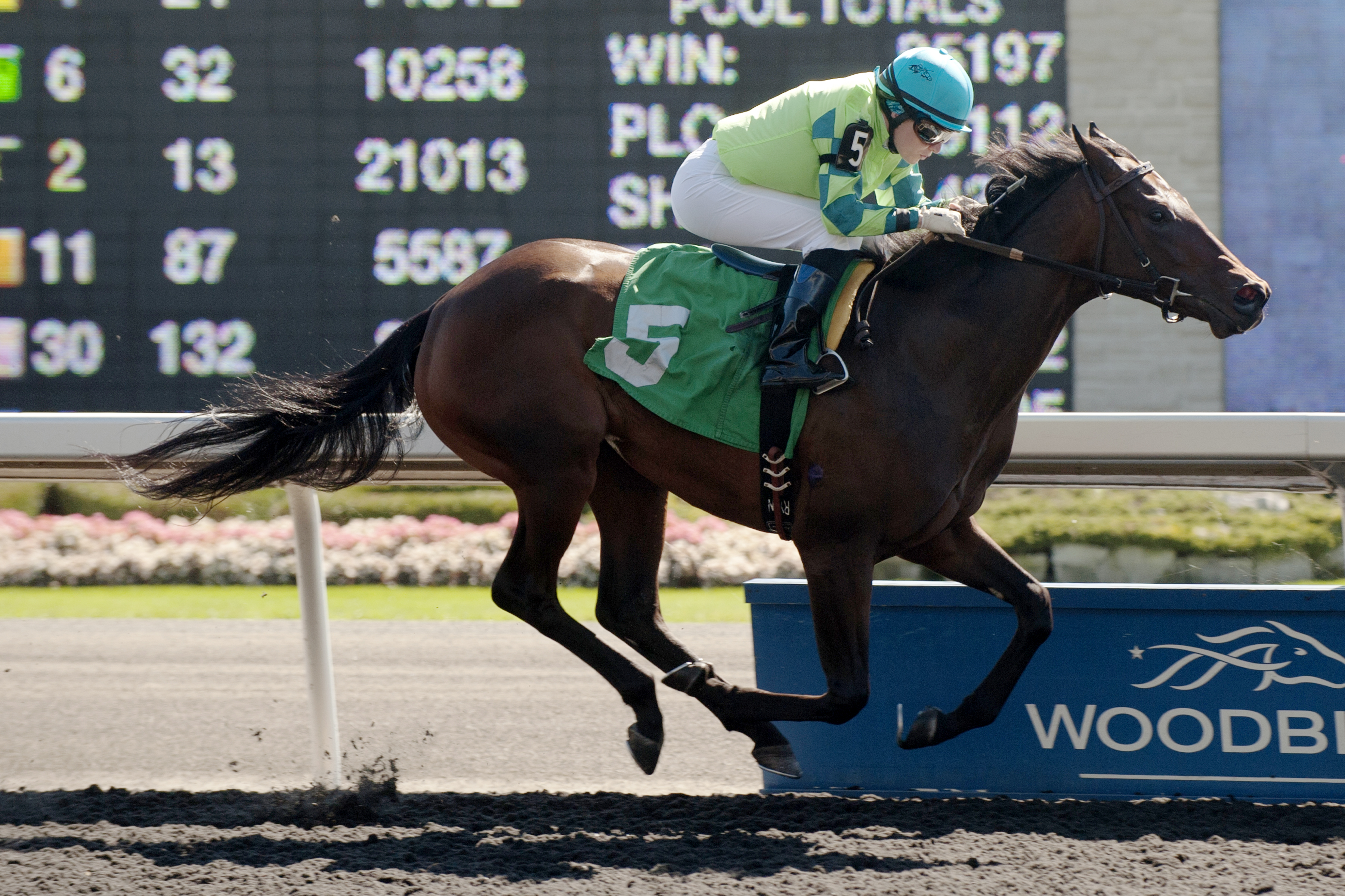 Galina Point wins a maiden race