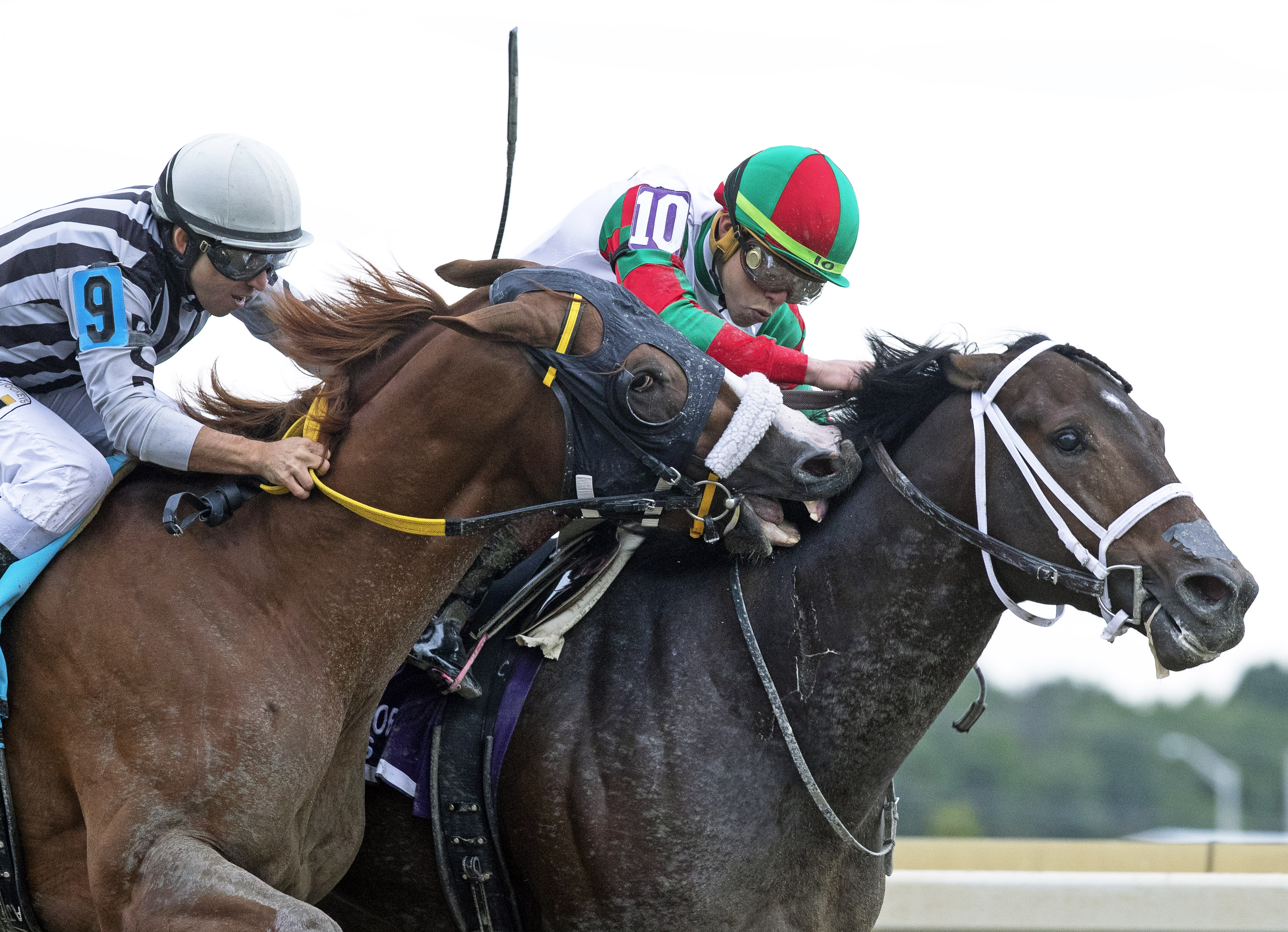 Firenze Fire wins 2018 Gallant Bob