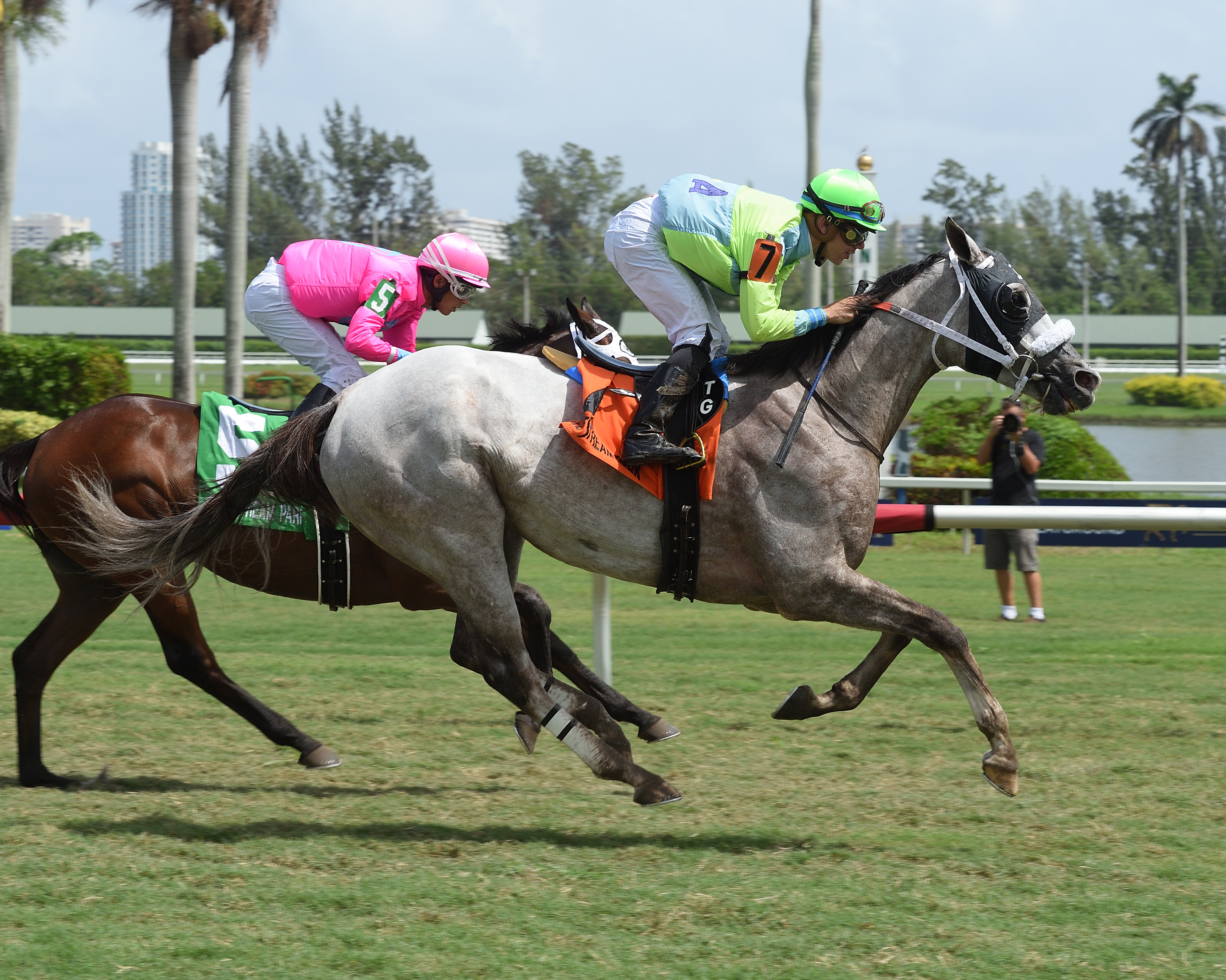 Galleon Mast wins the 2017 Mr. Steele Stakes