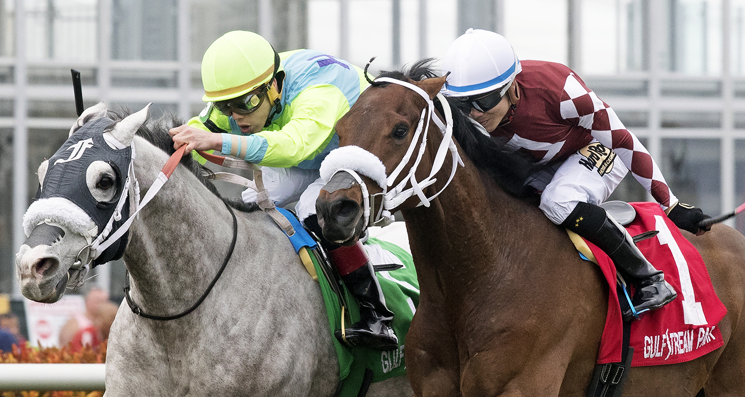 Galleon Mast wins the Sunshine Millions Turf
