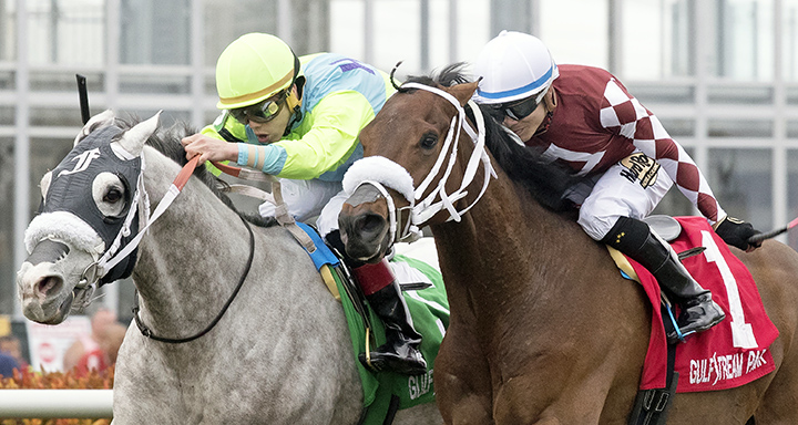 Galleon Mast wins the 2018 Sunshine Millions Turf