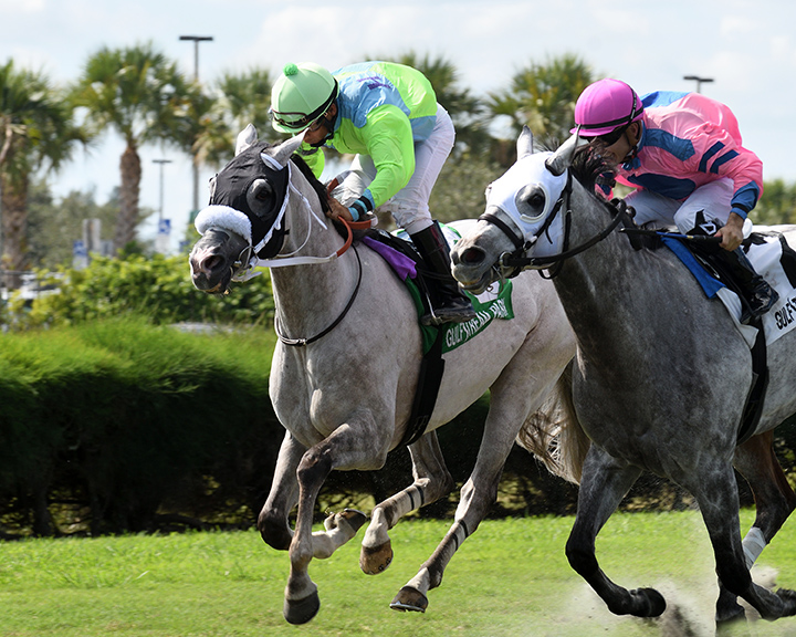 Galleon Mast wins the 2018 Sunshine Millions Turf Preview Stakes