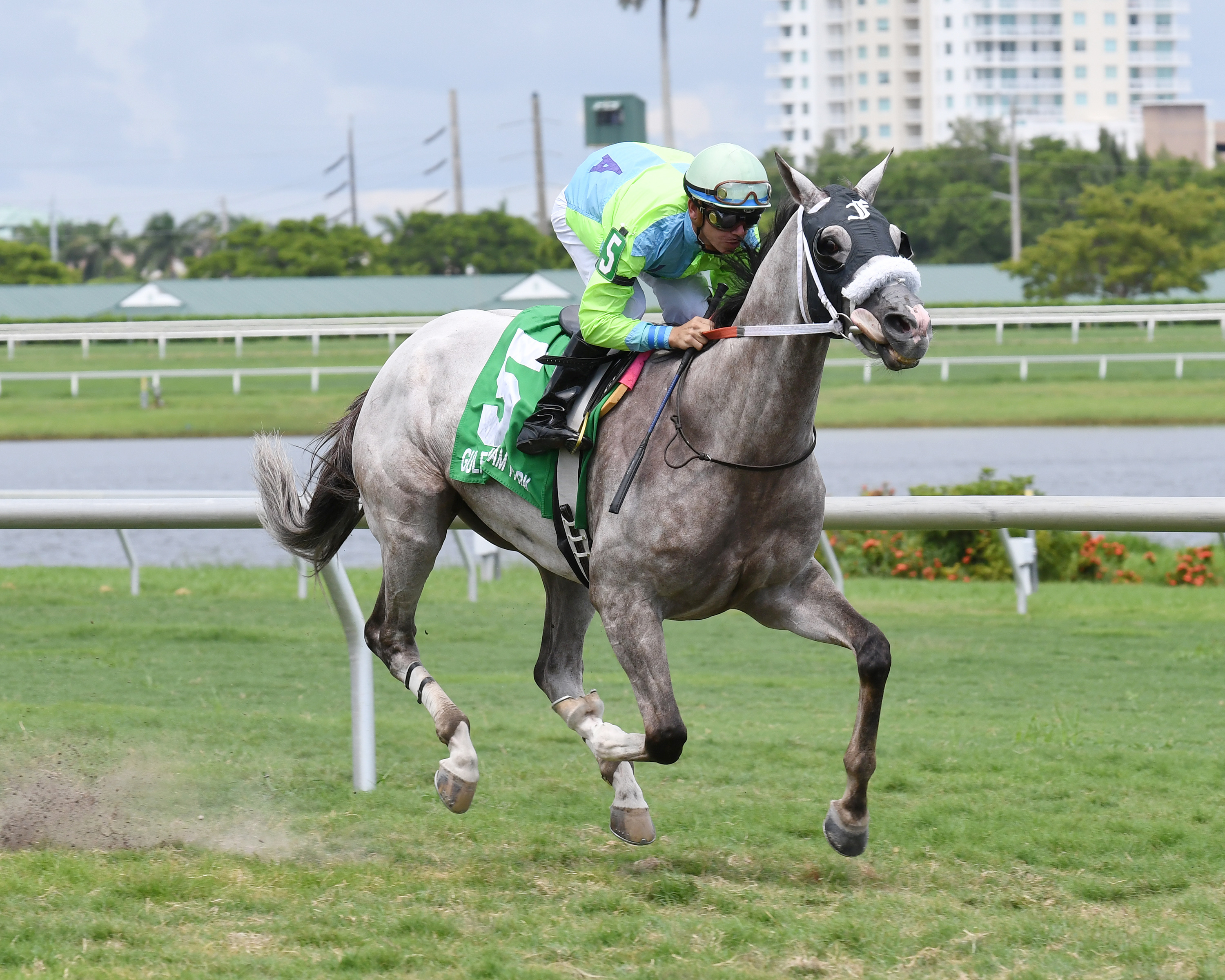 Galleon Mast wins the 2017 The Vid Stakes