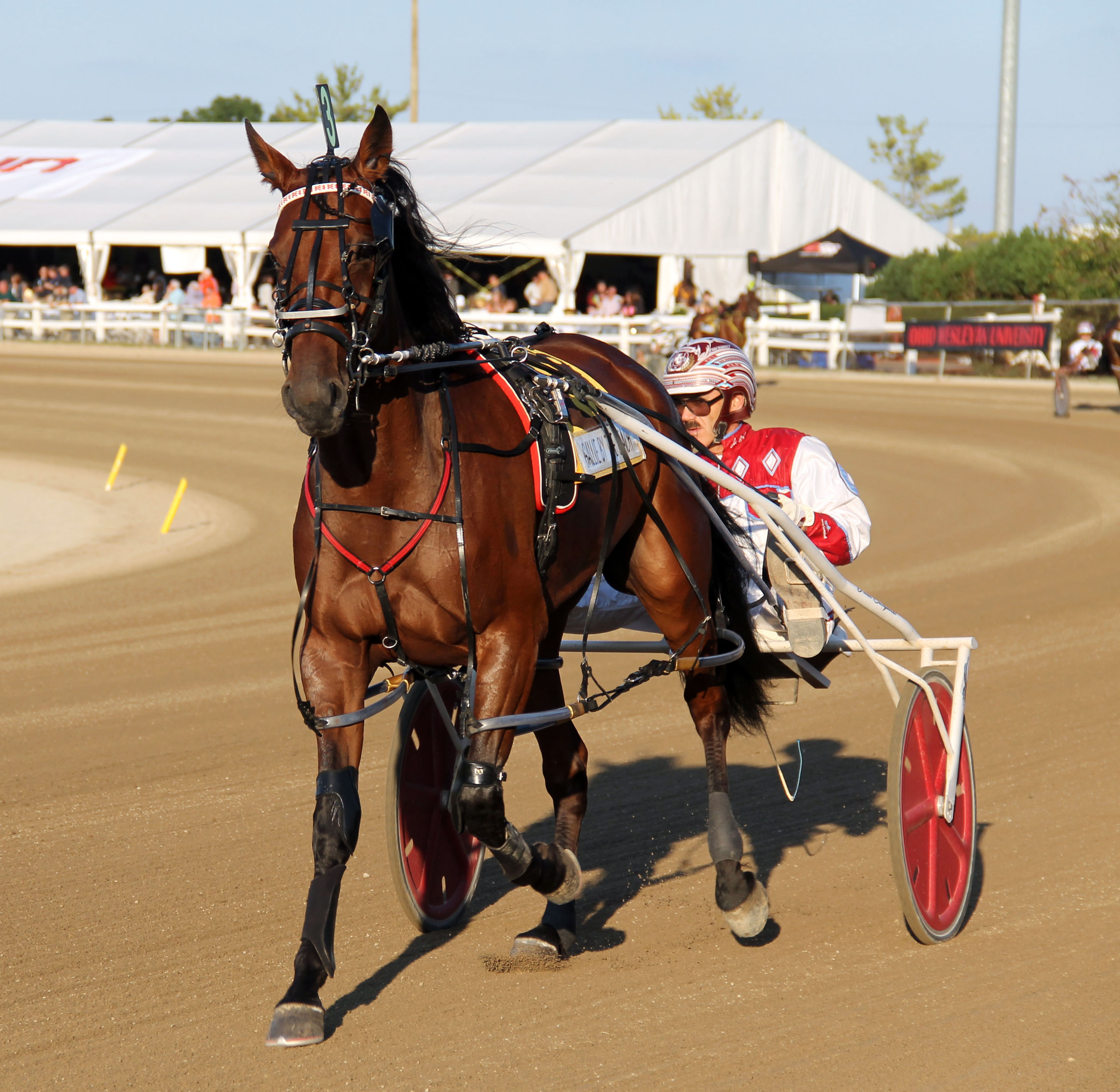 Meadowlands: Gallie Bythe Beach primed for TVG upset