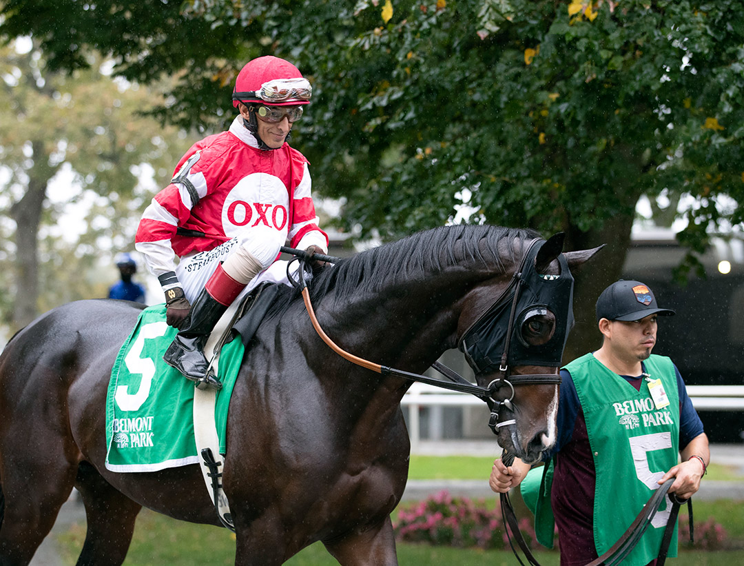 Galt at Belmont Park, October 2021