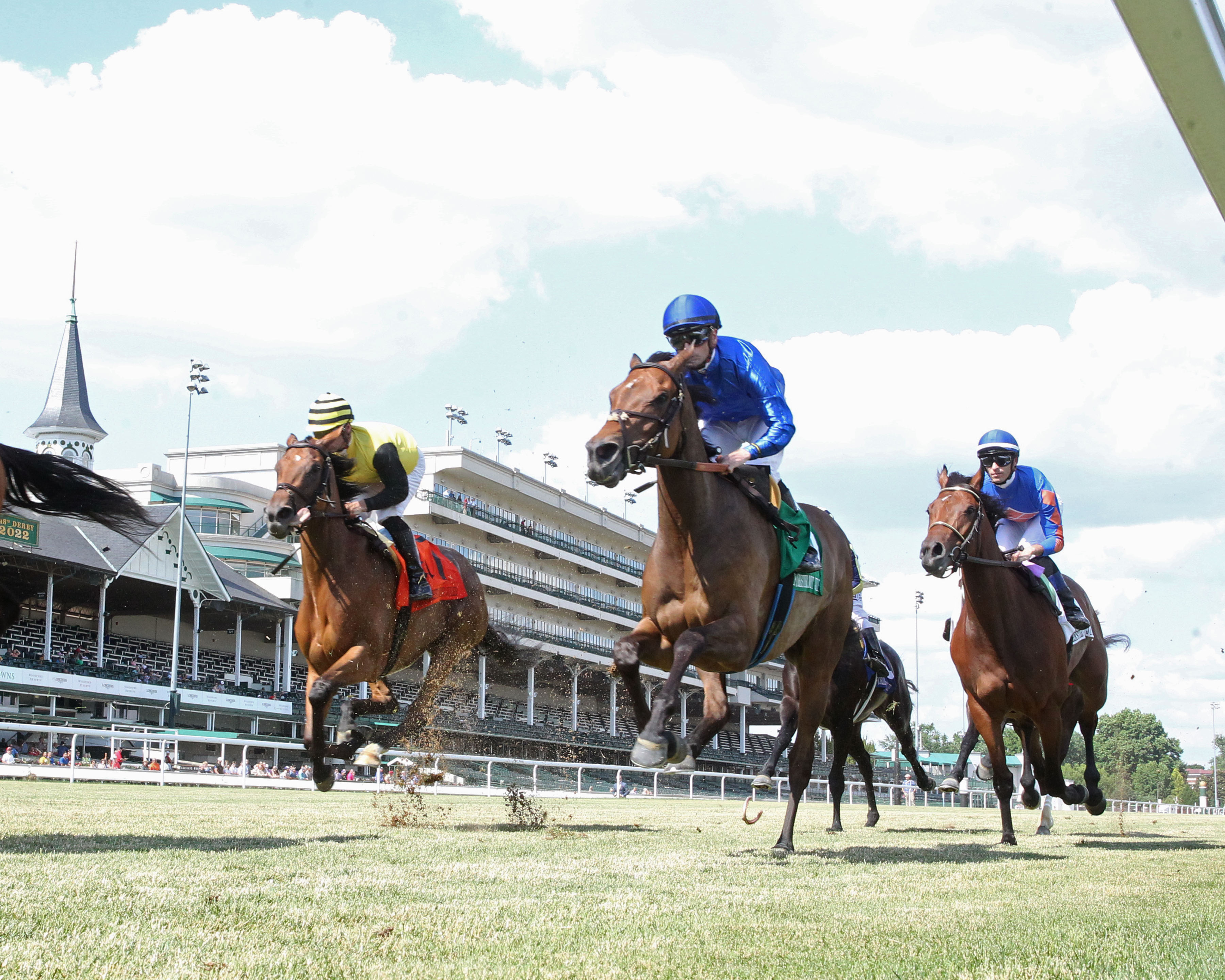 Churchill turf