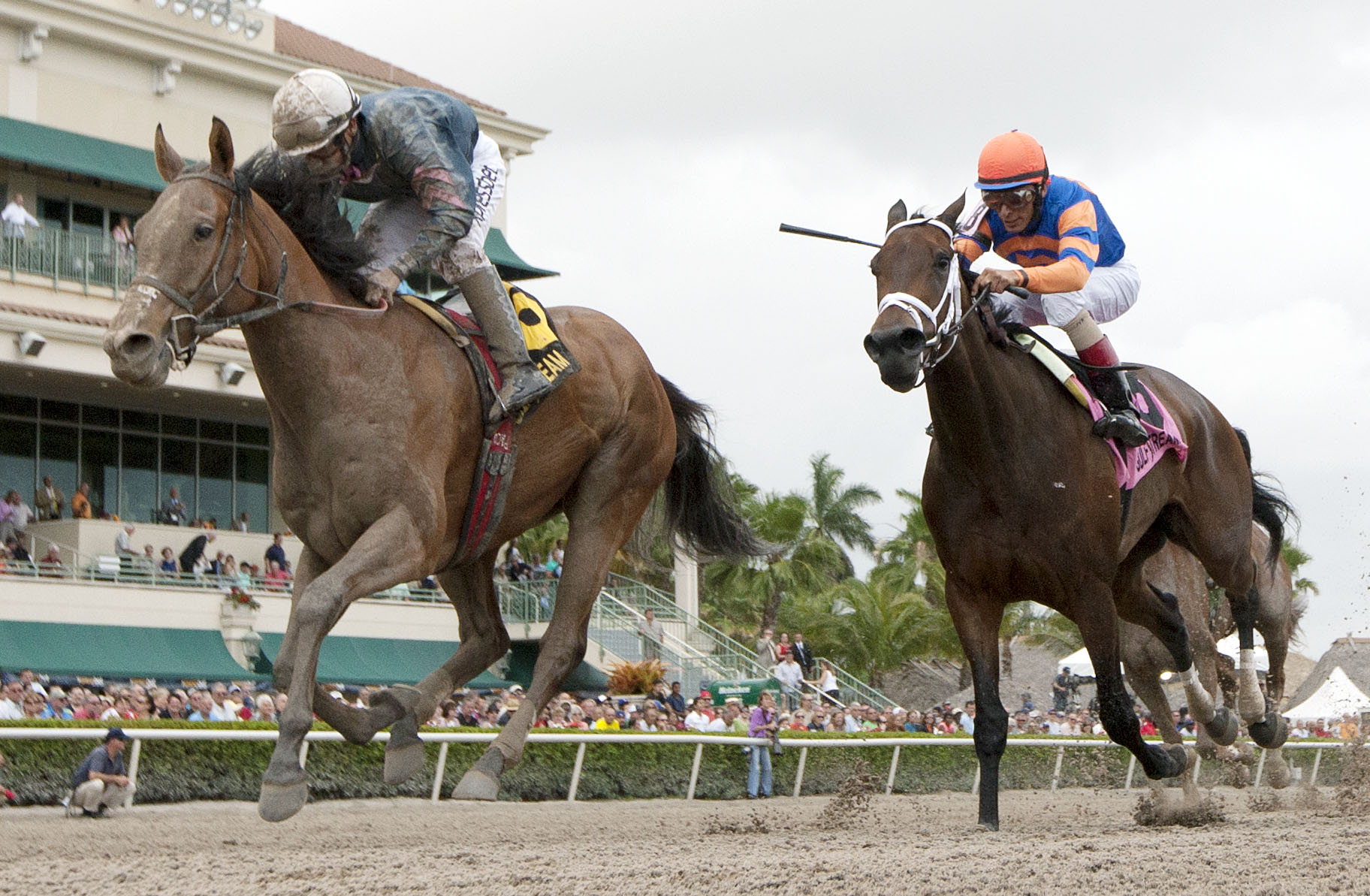 Gamay Noir wins the Rampart