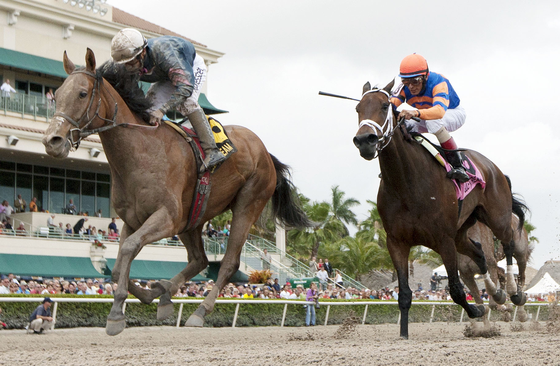 Gamay Noir wins the Rampart