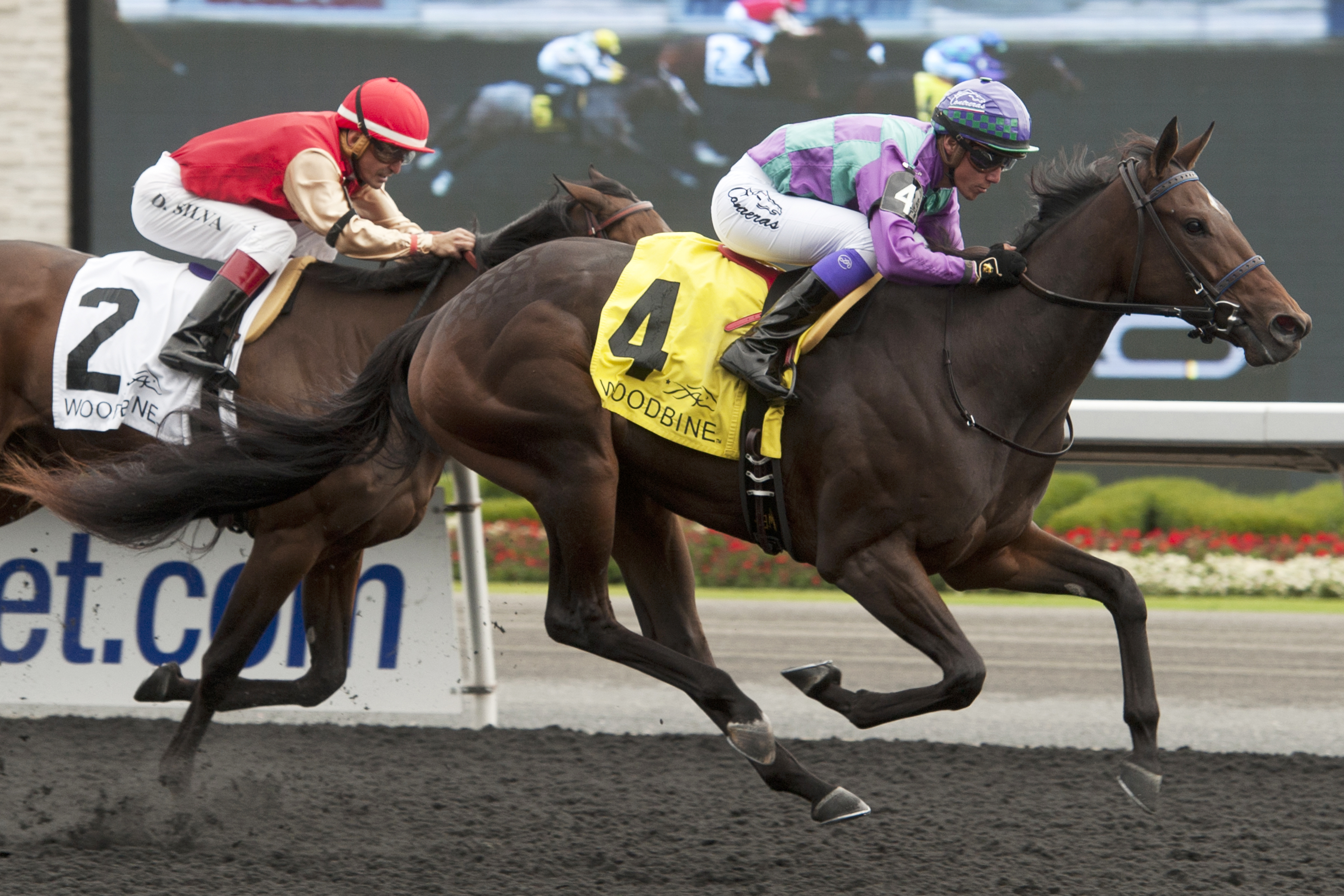 Gamble's Ghost wins the Mazarine Stakes