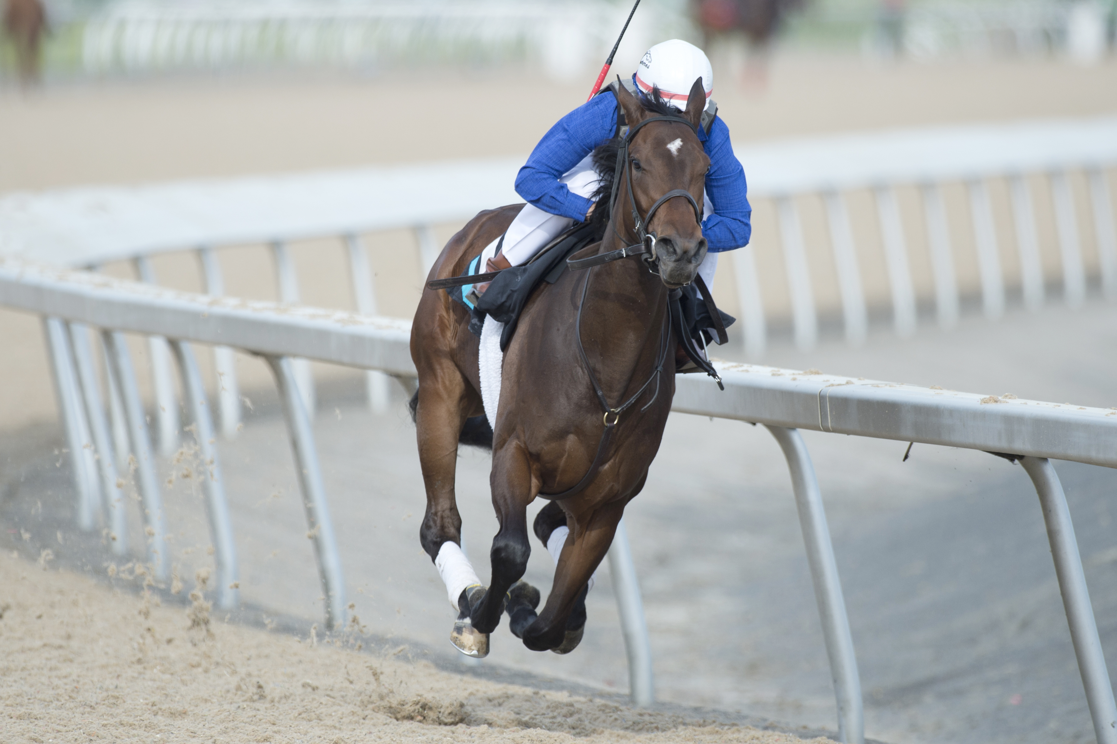 Gamble's Ghost trains at Woodbine on June 4