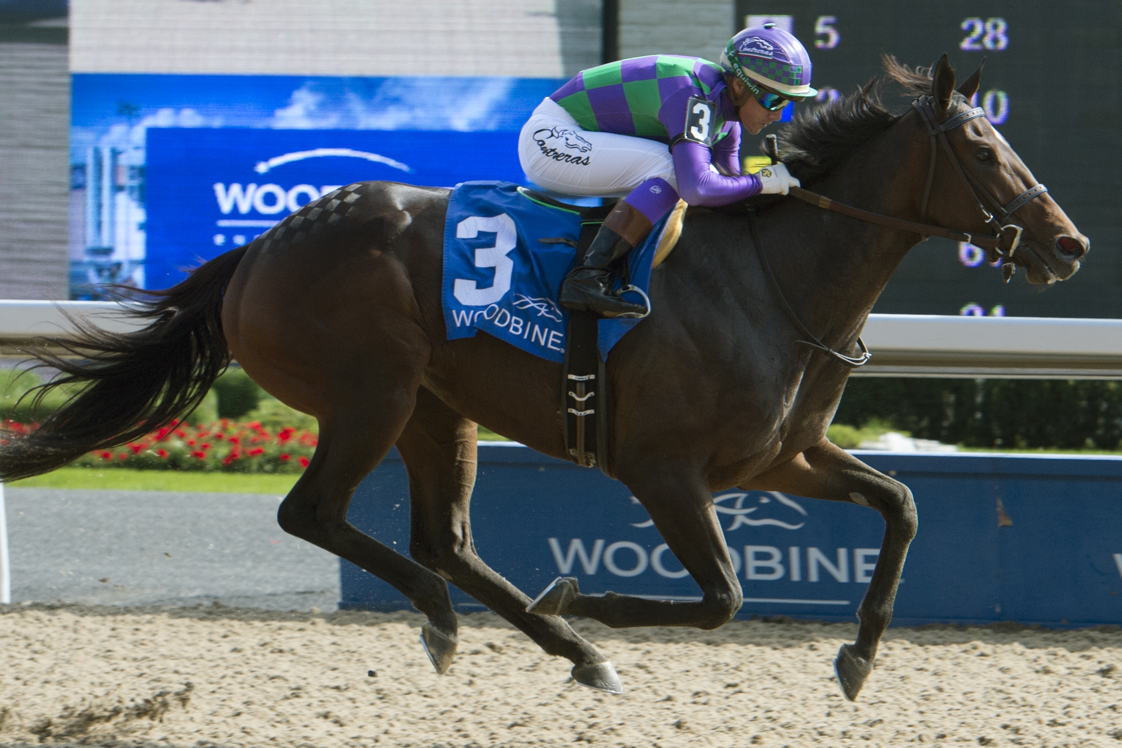 Gamble's Ghost wins the 2017 Belle Mahone Stakes at Woodbine