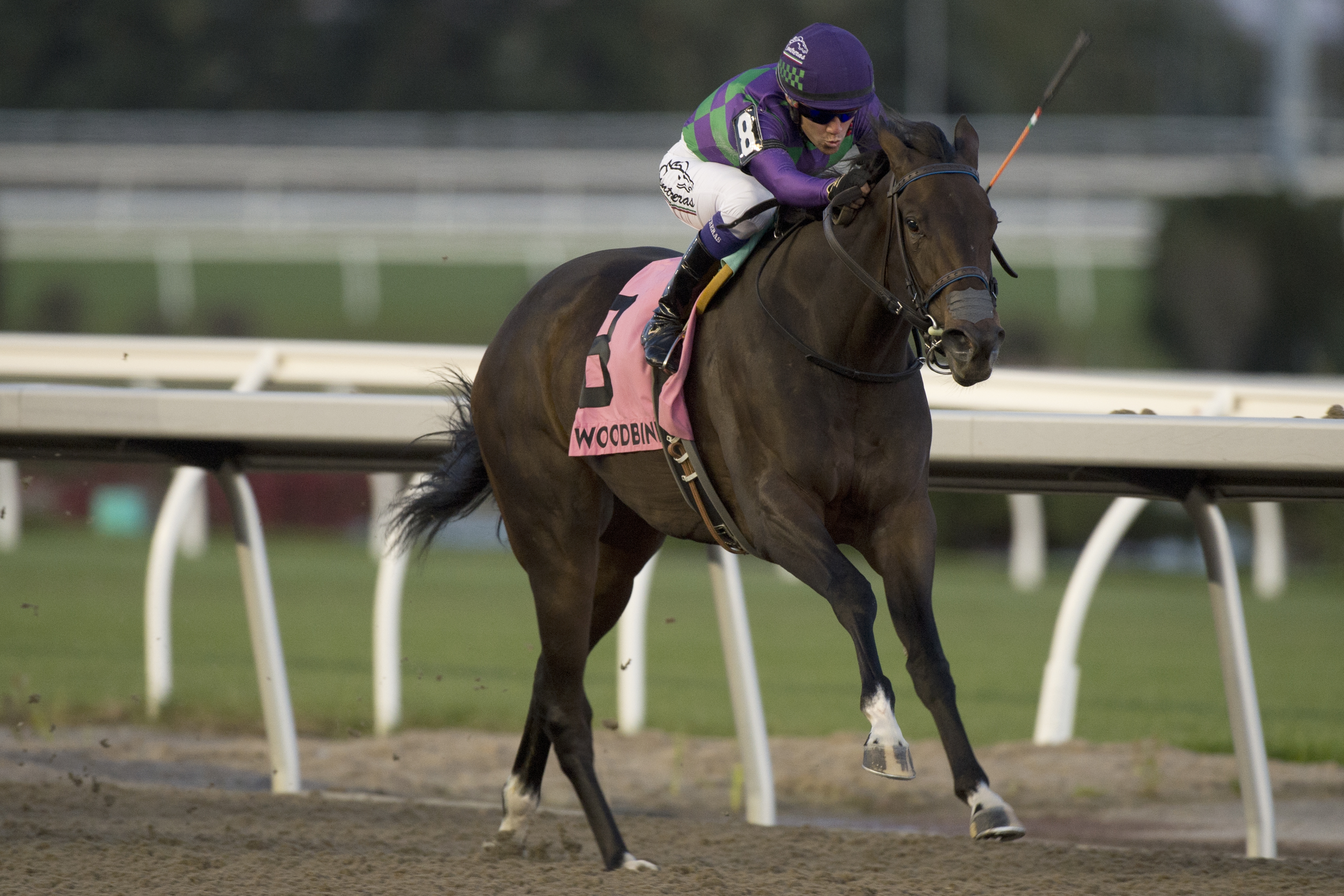 Gamble's Candy wins the 2019 Ruling Angel Stakes