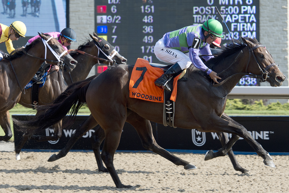 Gamble-s Ghost wins the 2018 Ontario Matron