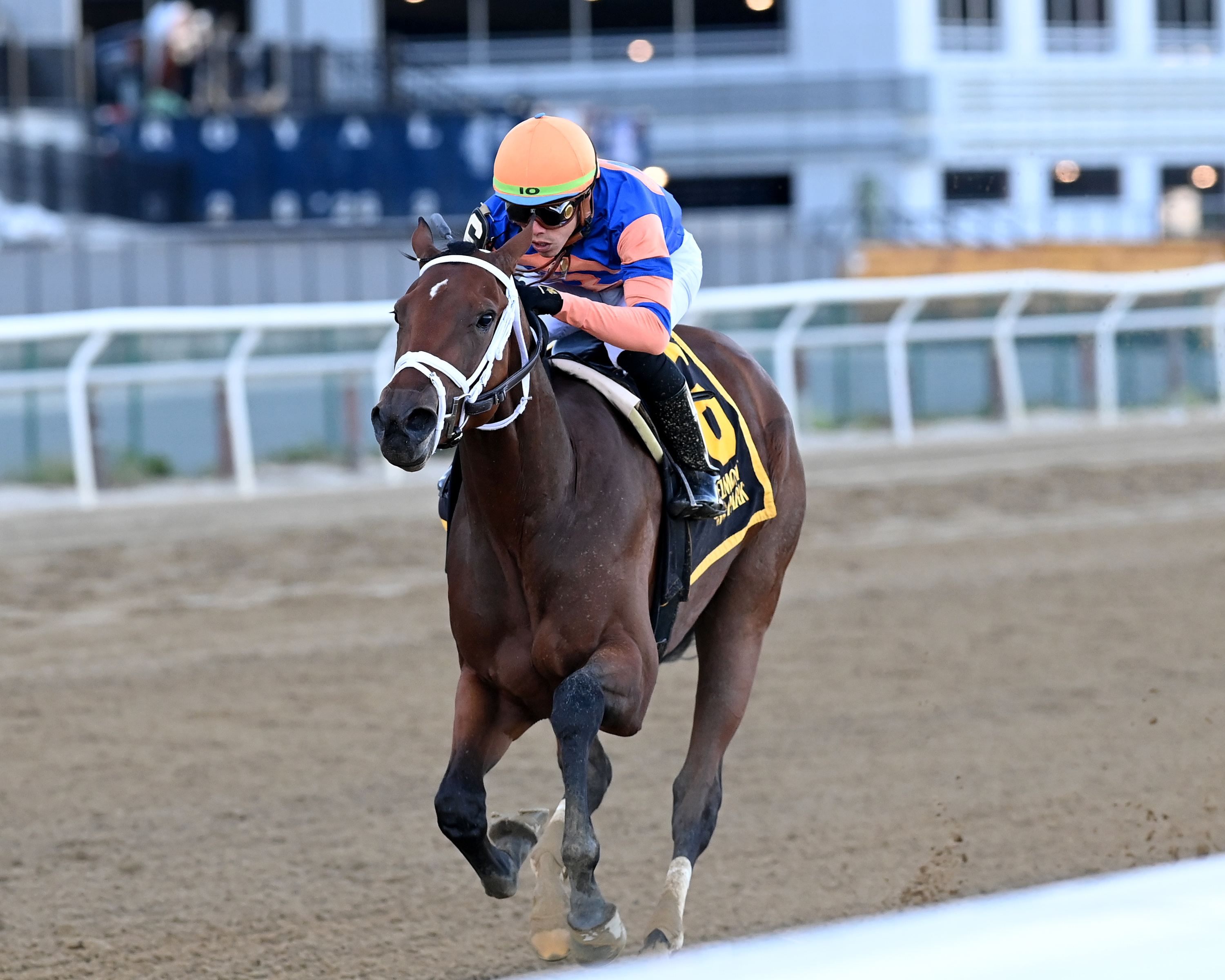 Gambling Girl wins the Joseph A. Gimma at Aqueduct Sept 23 2022