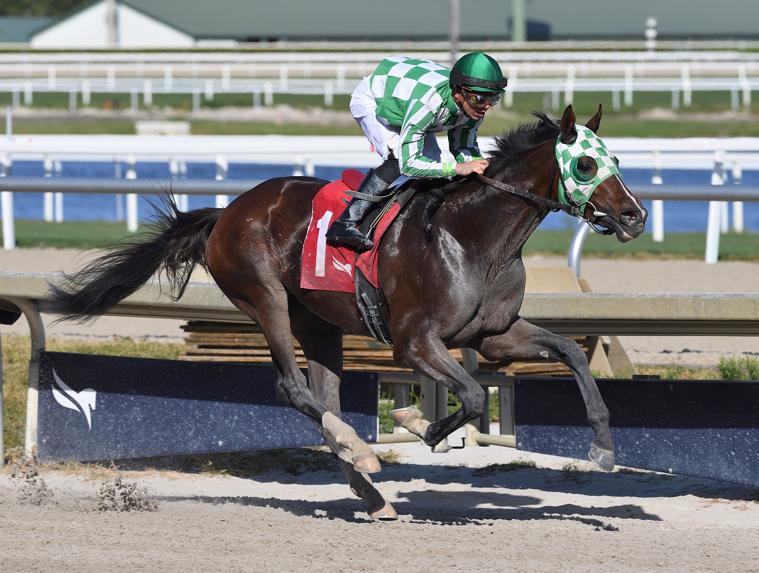 Game Change wins maiden at GP Feb 1 2023