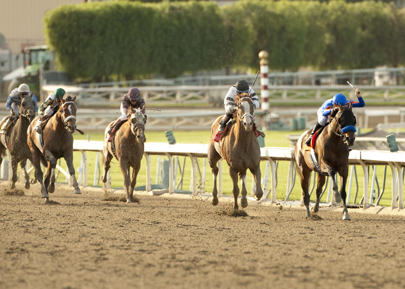Game On Dude/Big Cap