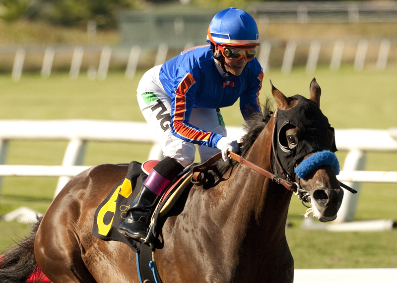 Game On Dude 7-7-2012